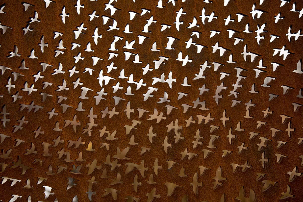 East Point Park Bird Sanctuary Pavilions - image 10