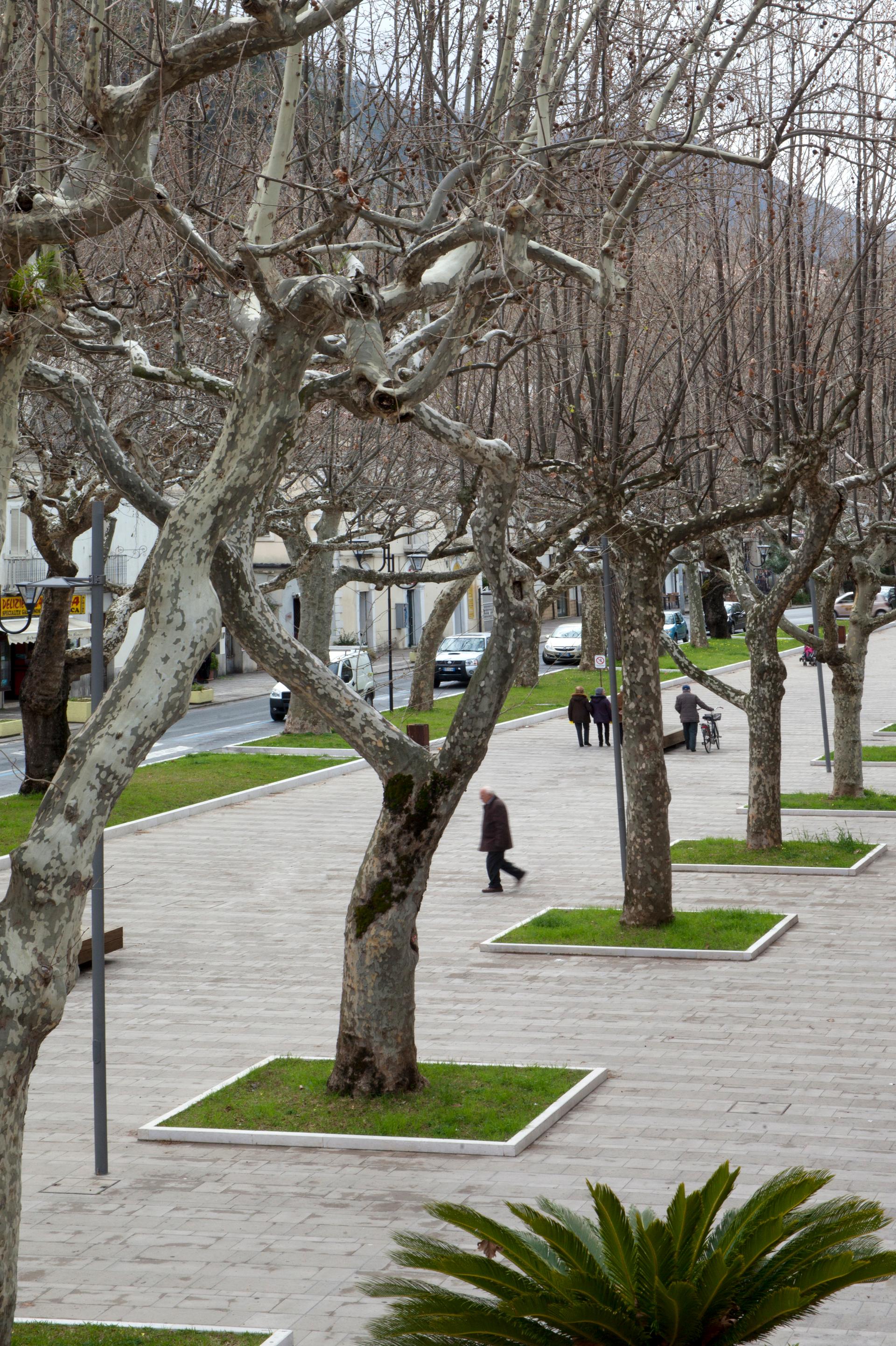 Viale della Liberté - image 6