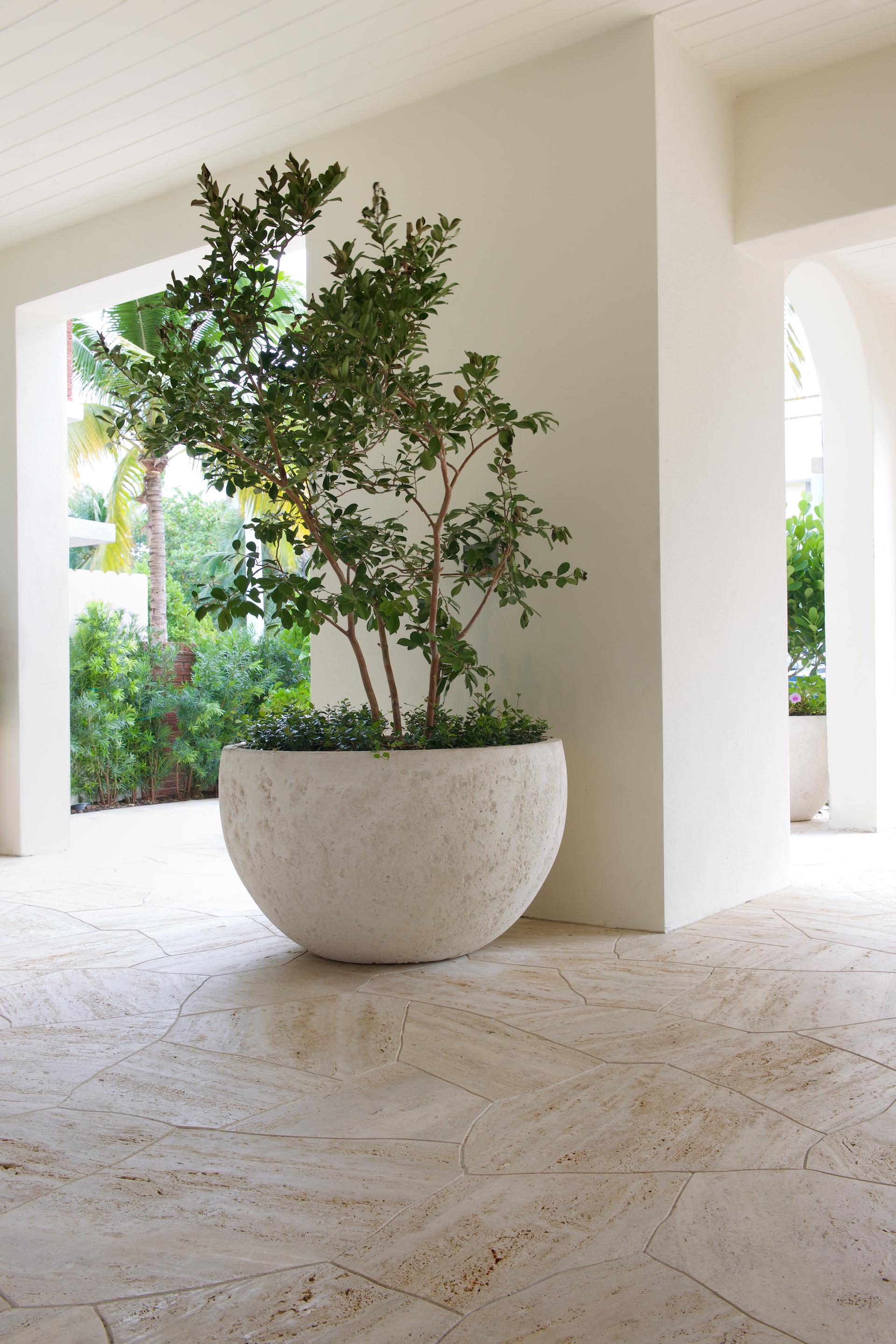 Forte dei Marmi - image 12