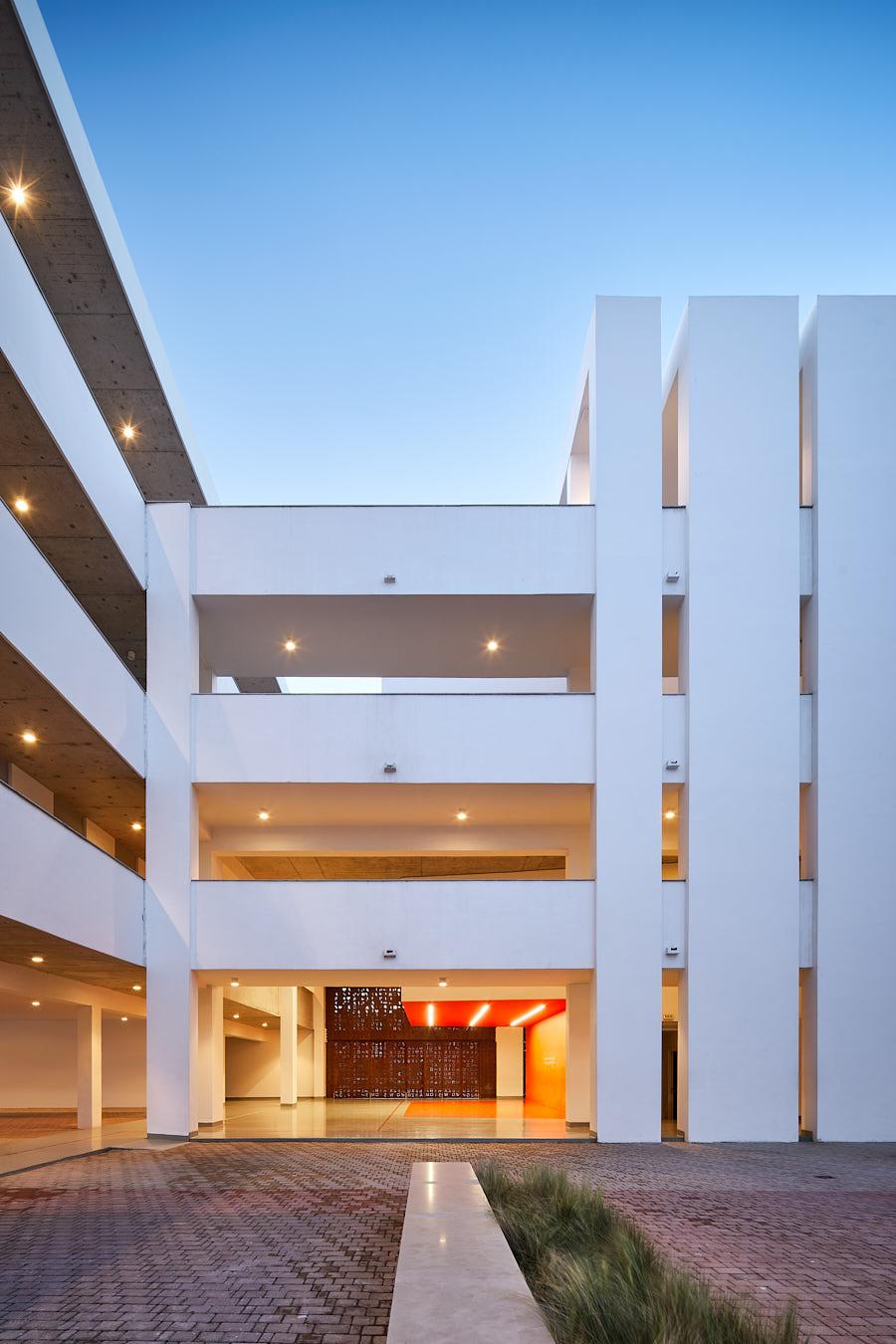 Wall of Knowledge - image 11