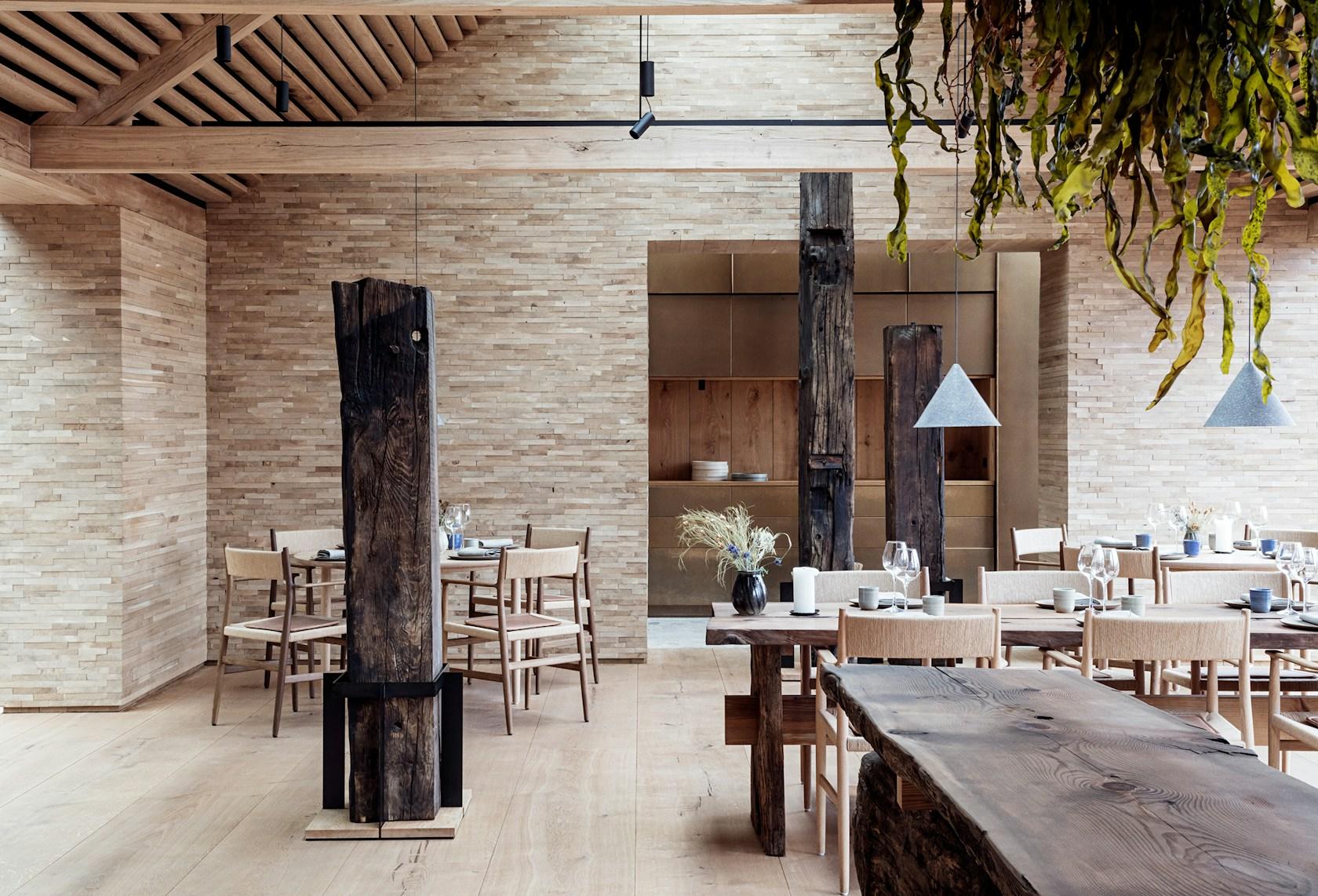 noma - image 5