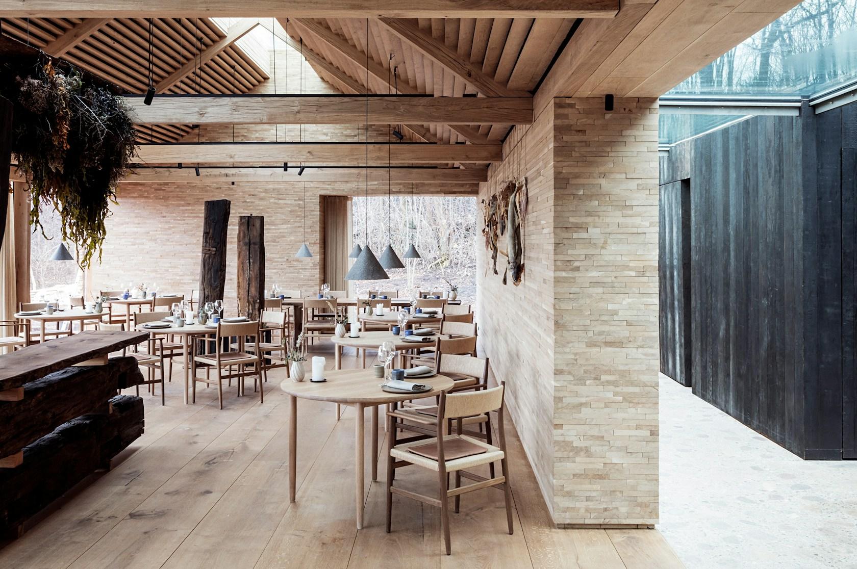 noma - image 3