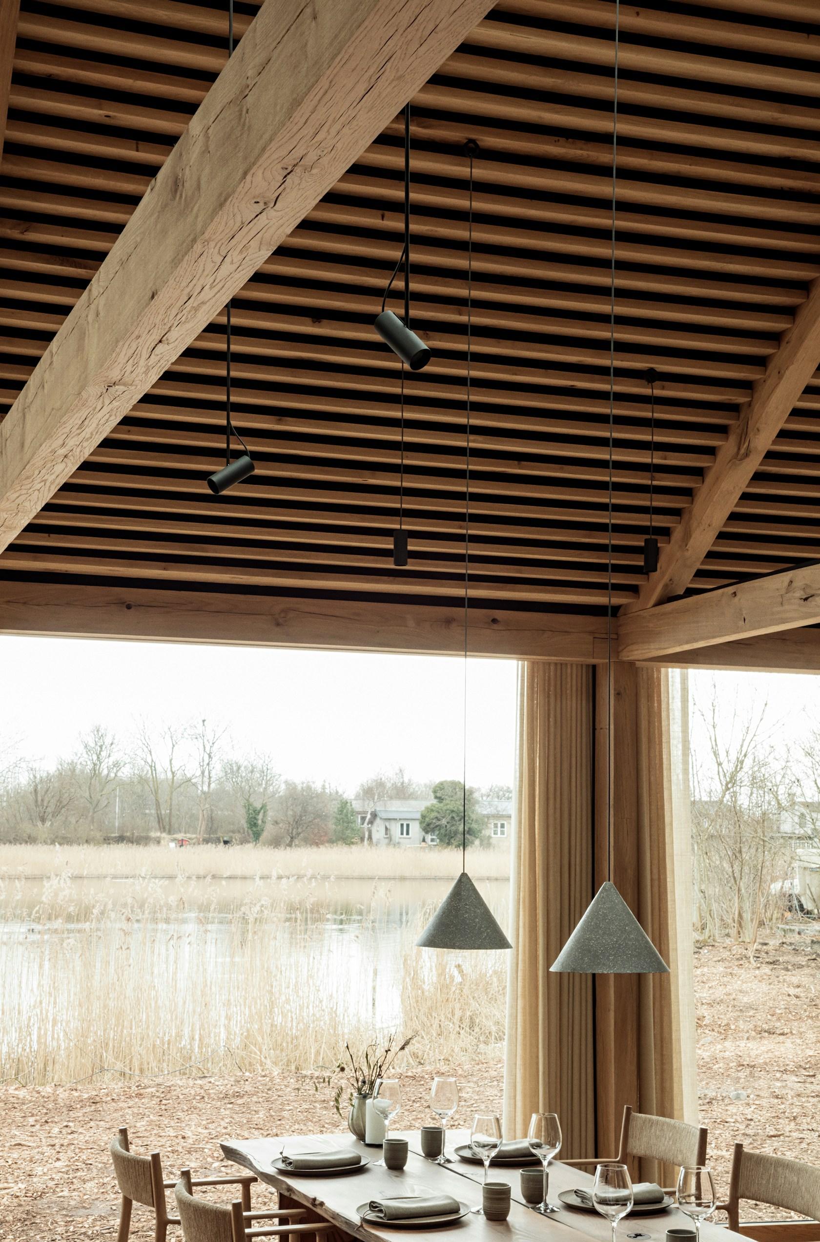 noma - image 10