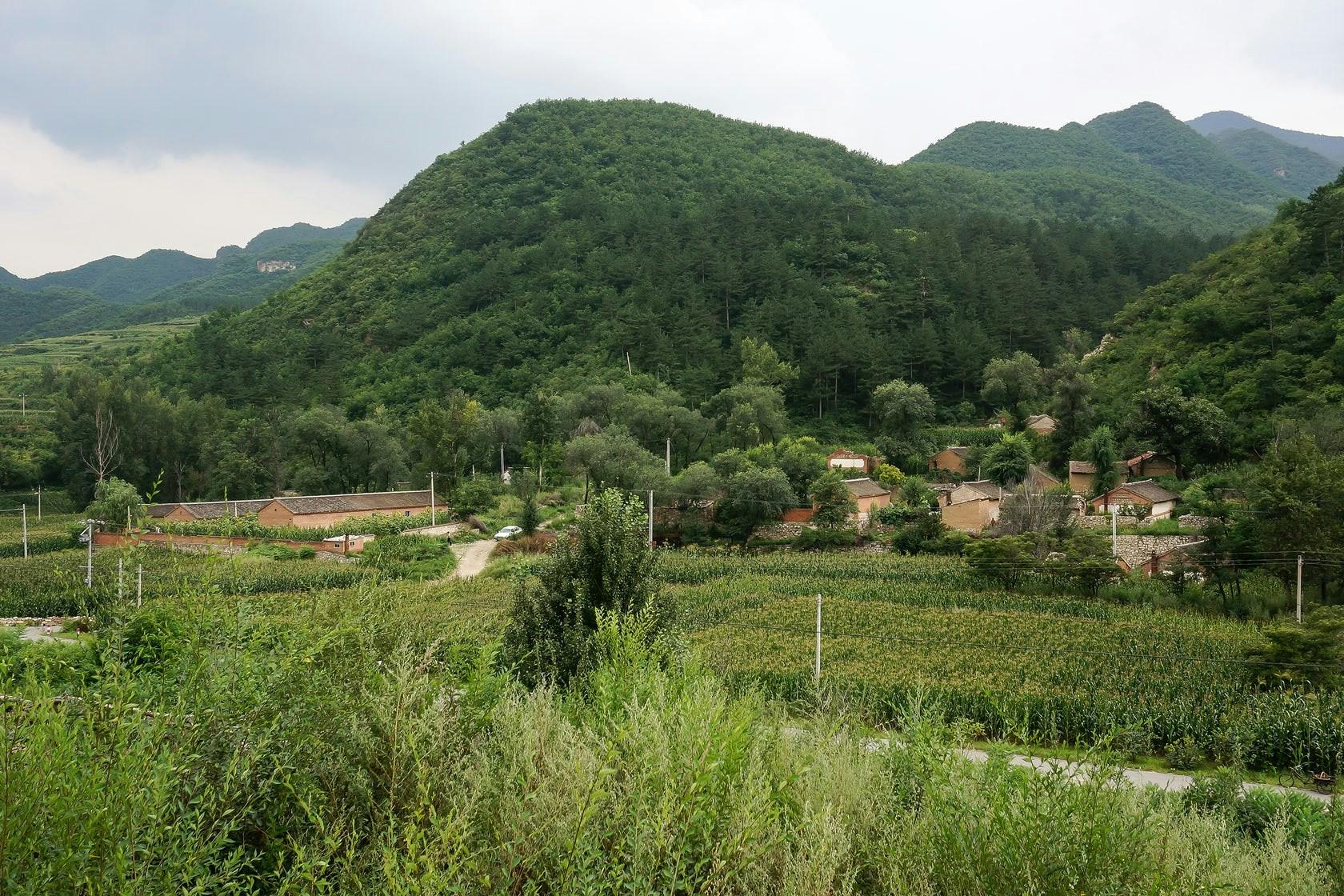 Bailixiangju Resort - image 9