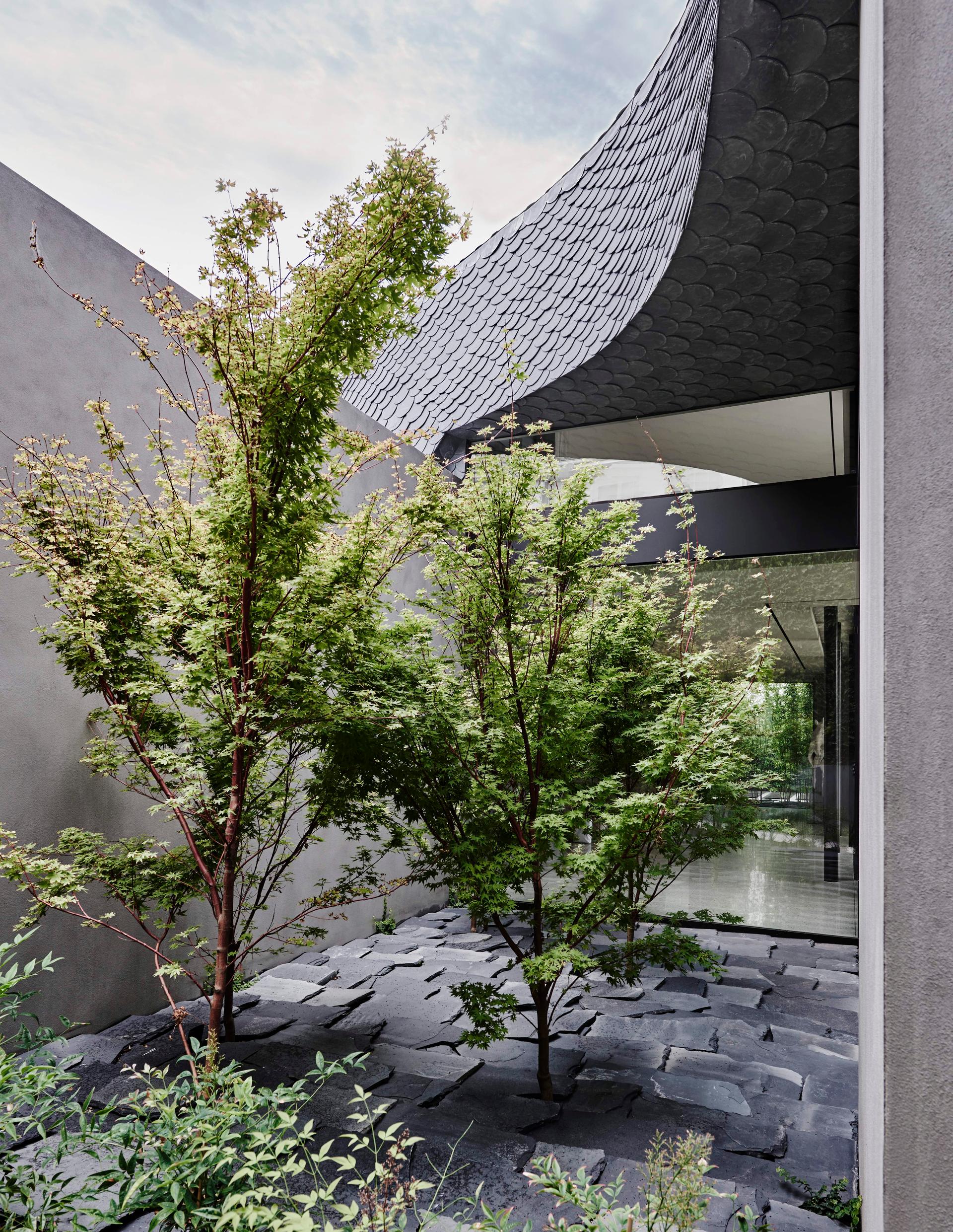 Twig House - image 2