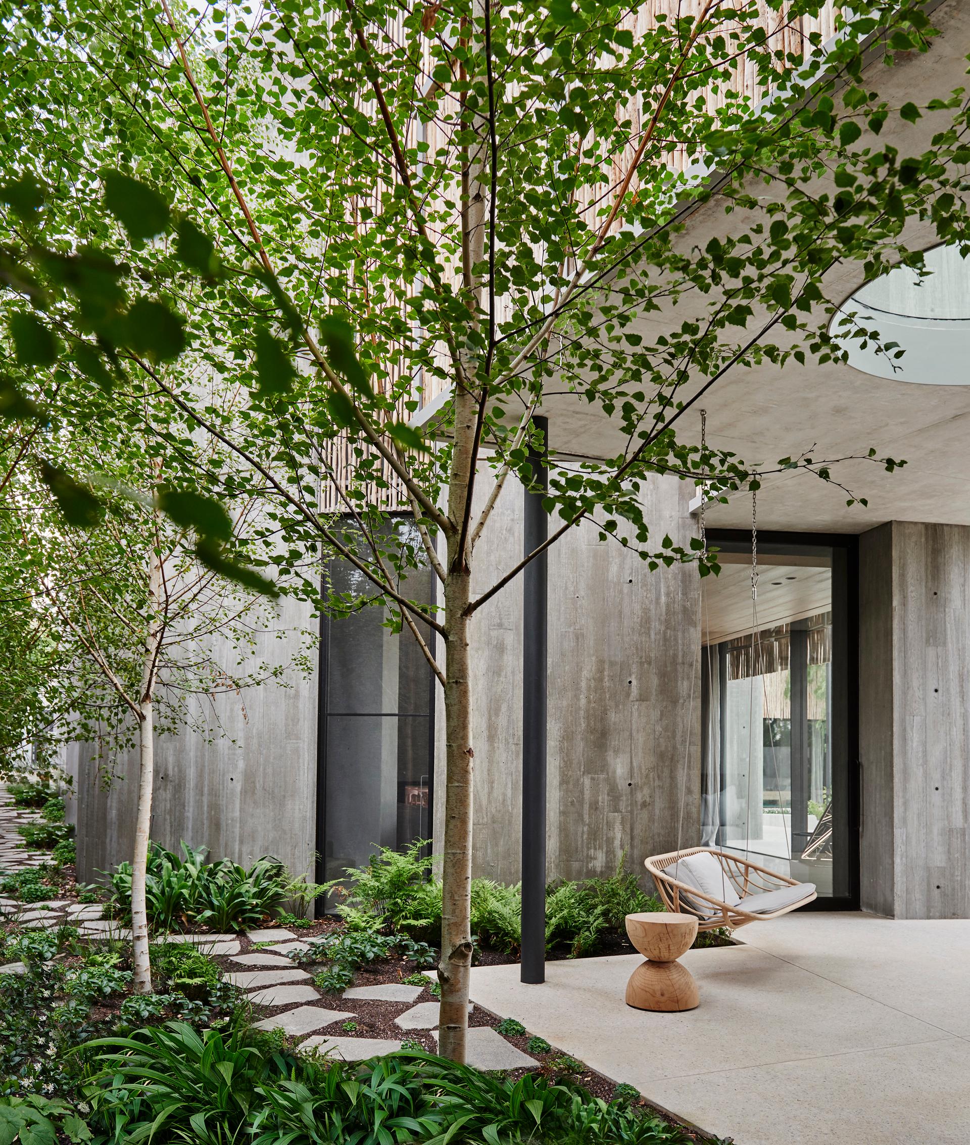Twig House - image 10