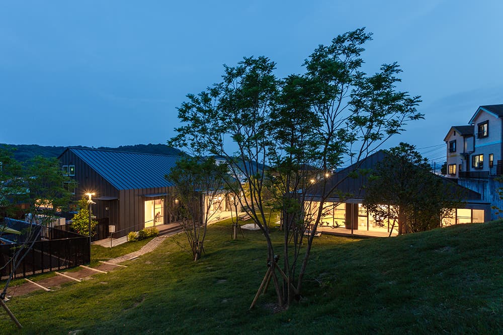 HN Nursery - image 4