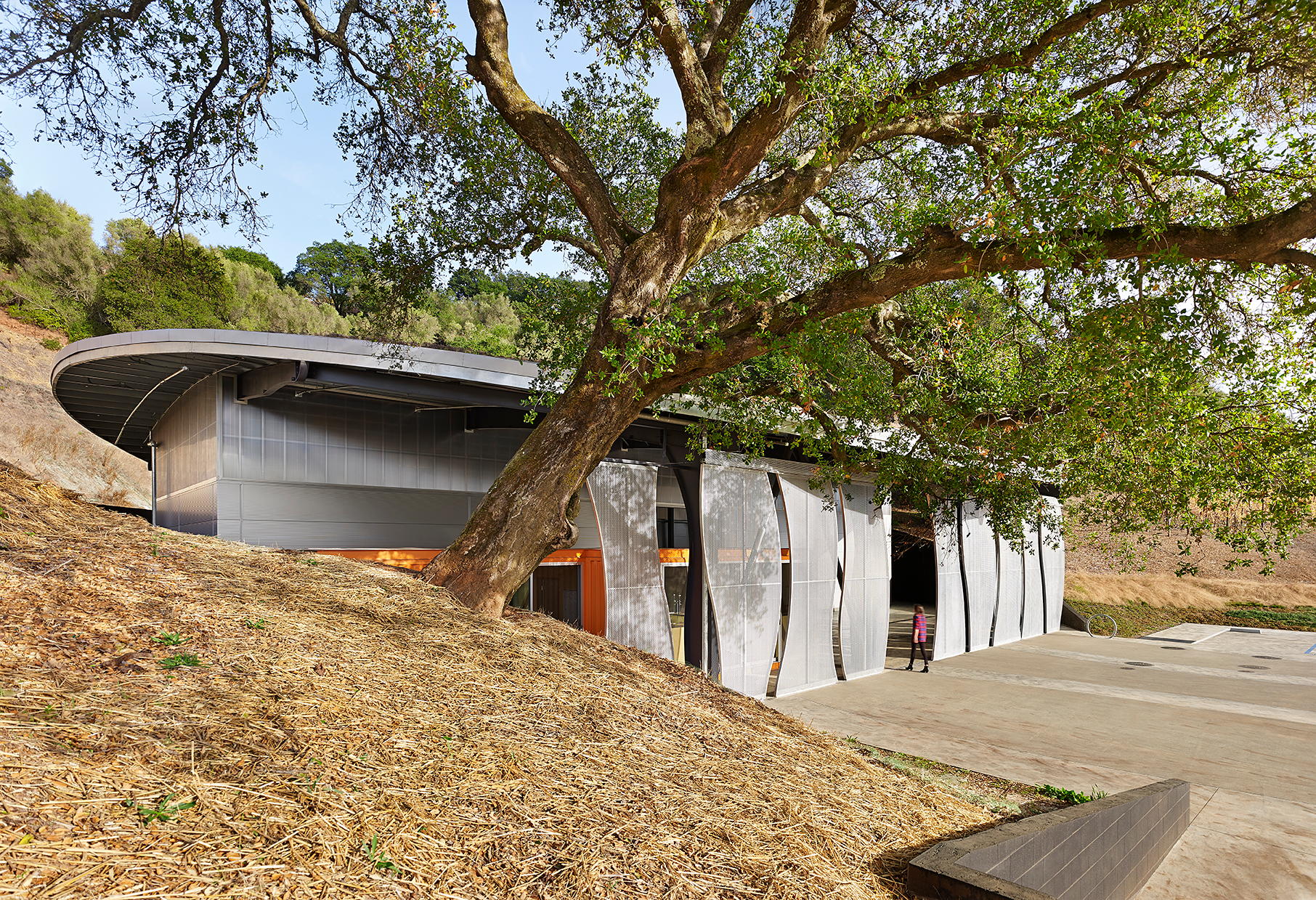 Odette Estate Winery - image 2