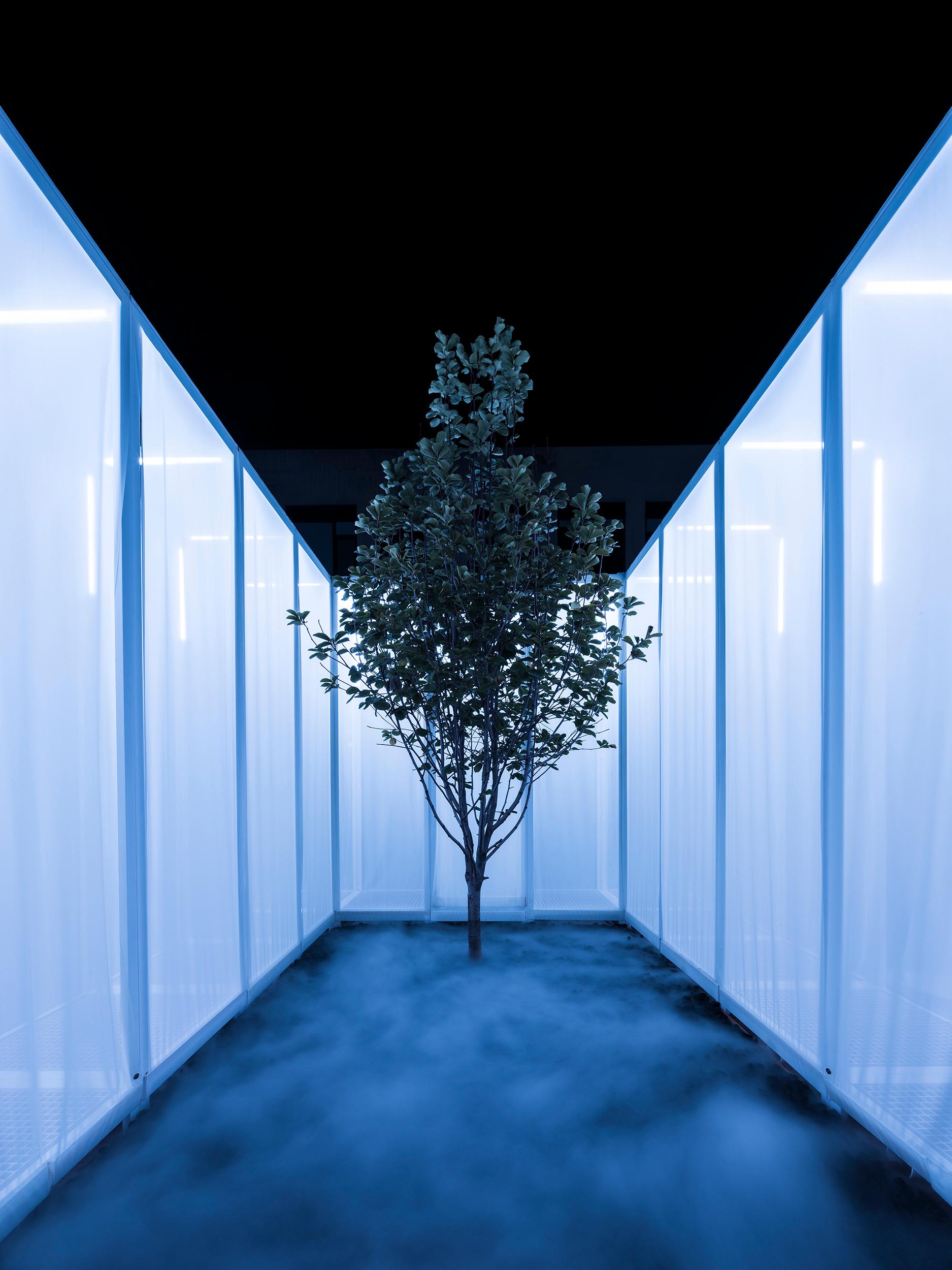 CO2 - image 8