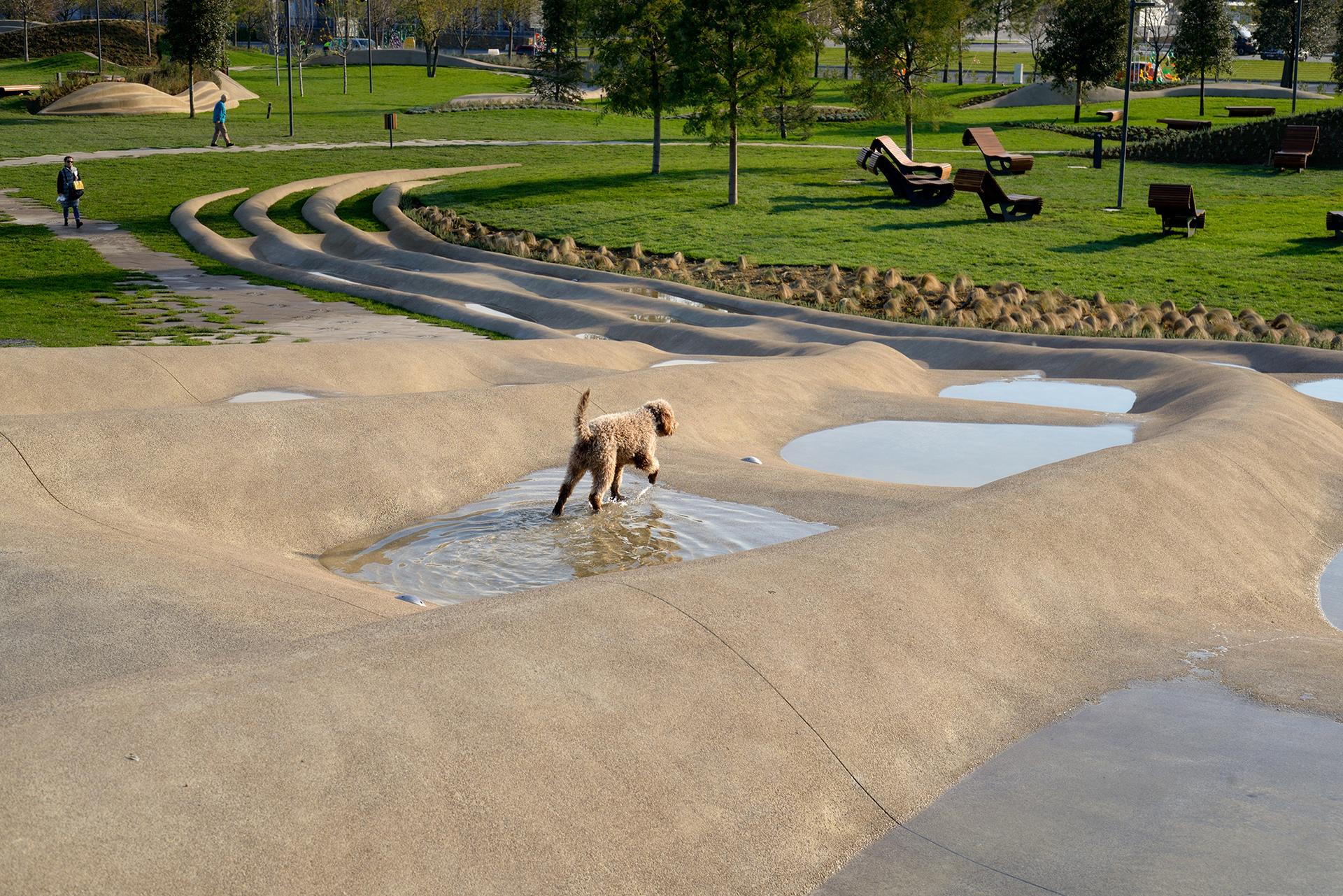 Koper Central Park - image 30