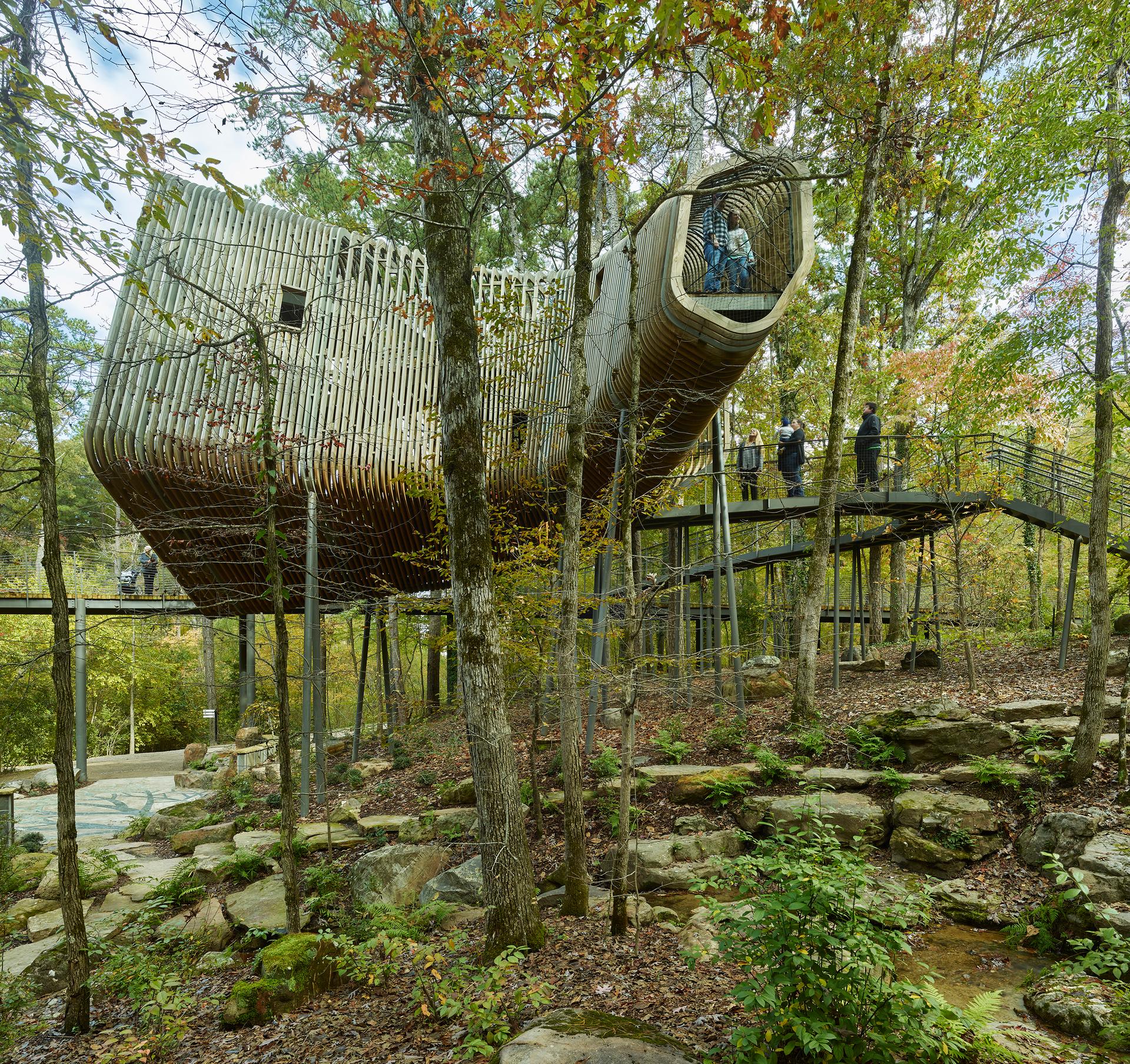 The Bob + Sunny Evans Tree House at Garvan Woodland Gardens - image 3