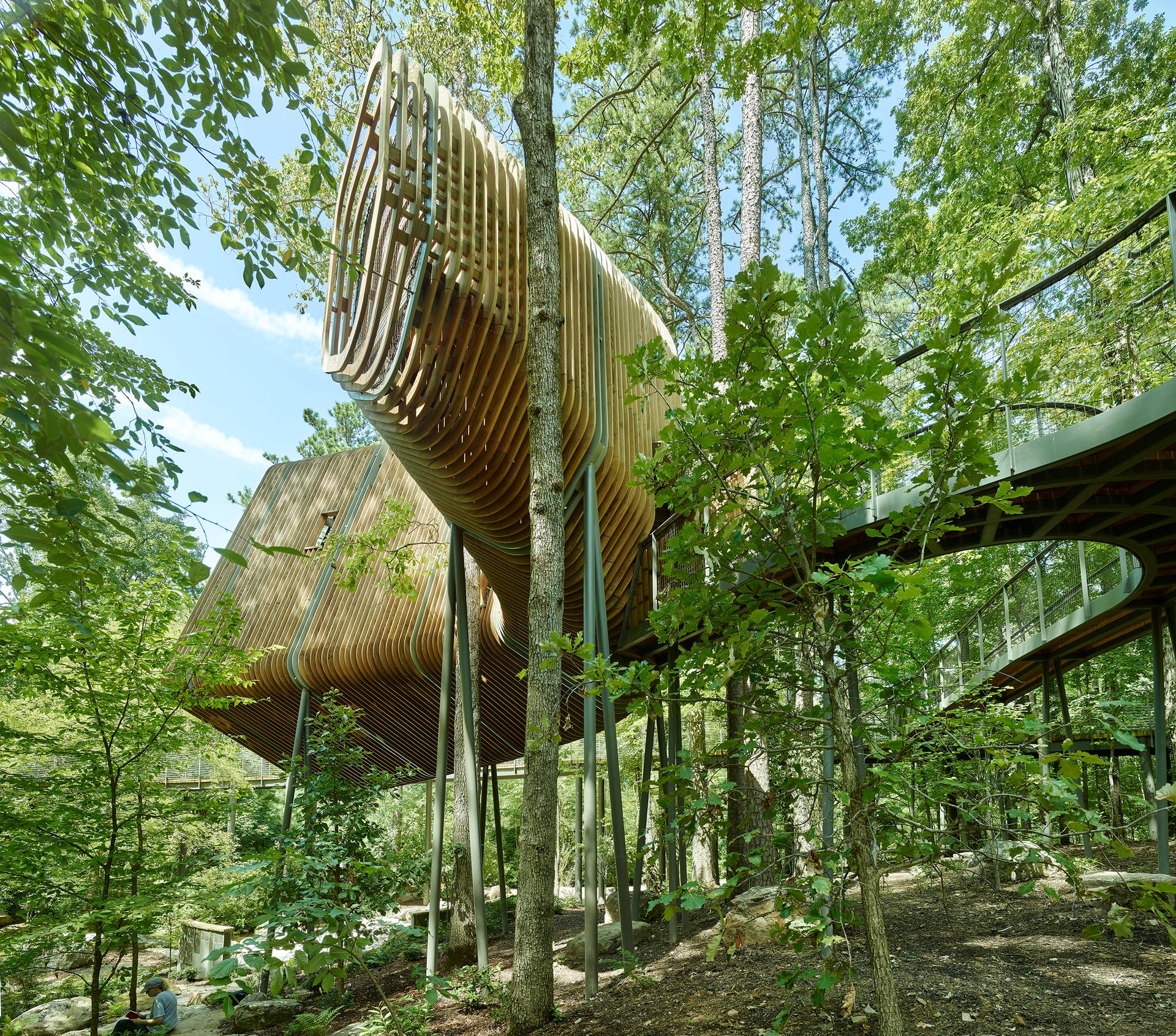 The Bob + Sunny Evans Tree House at Garvan Woodland Gardens - image 5