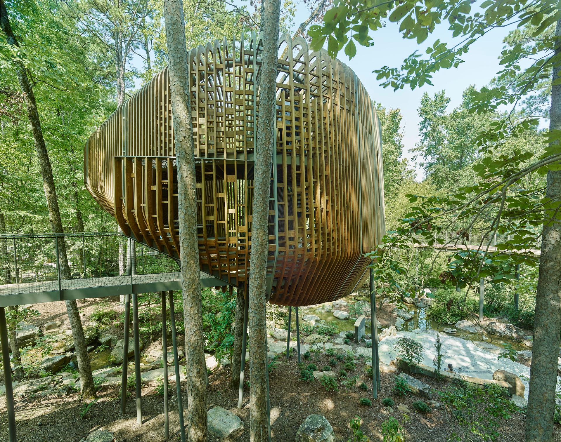 The Bob + Sunny Evans Tree House at Garvan Woodland Gardens - image 7