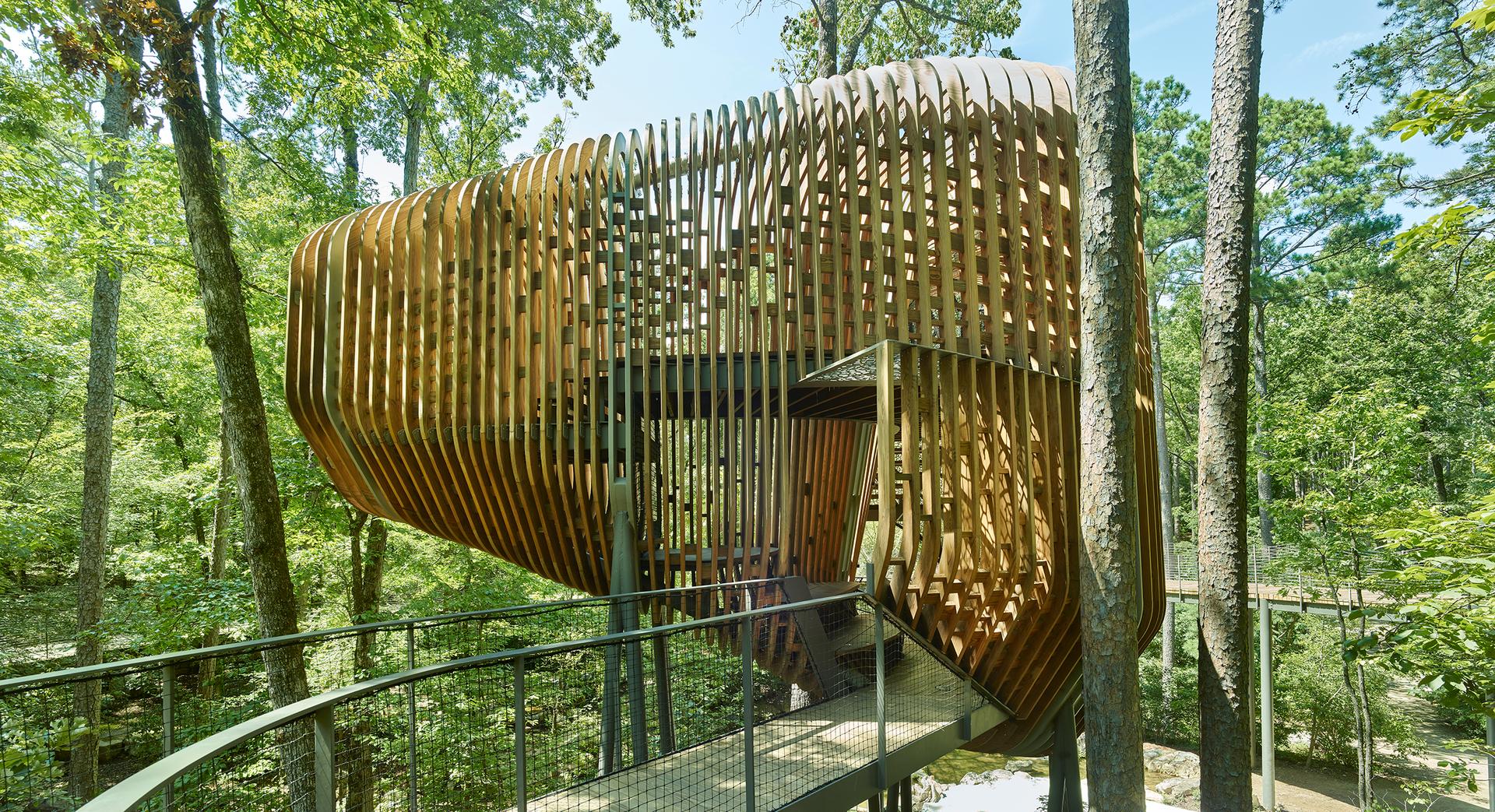 The Bob + Sunny Evans Tree House at Garvan Woodland Gardens - image 9