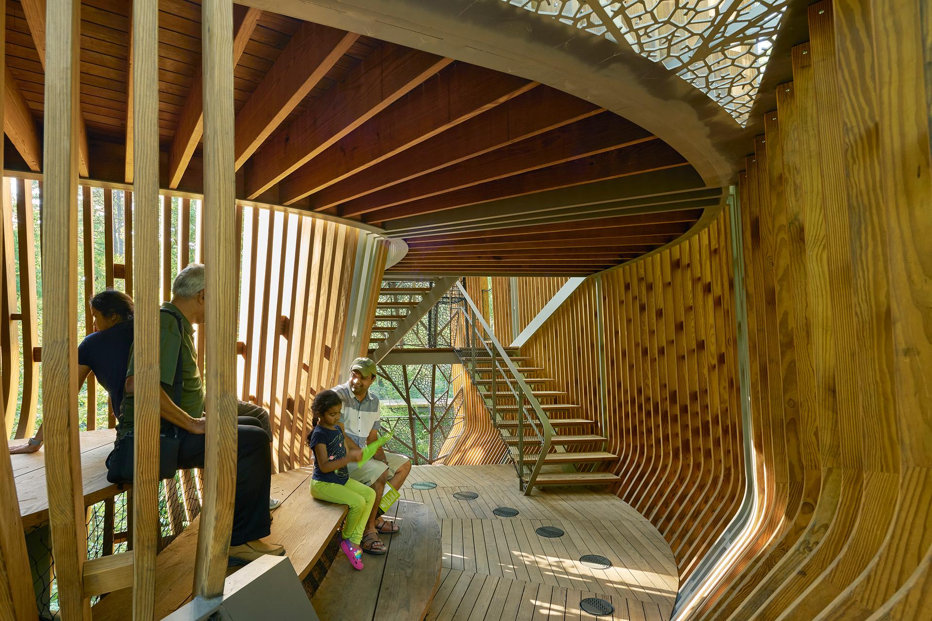 The Bob + Sunny Evans Tree House at Garvan Woodland Gardens - image 11