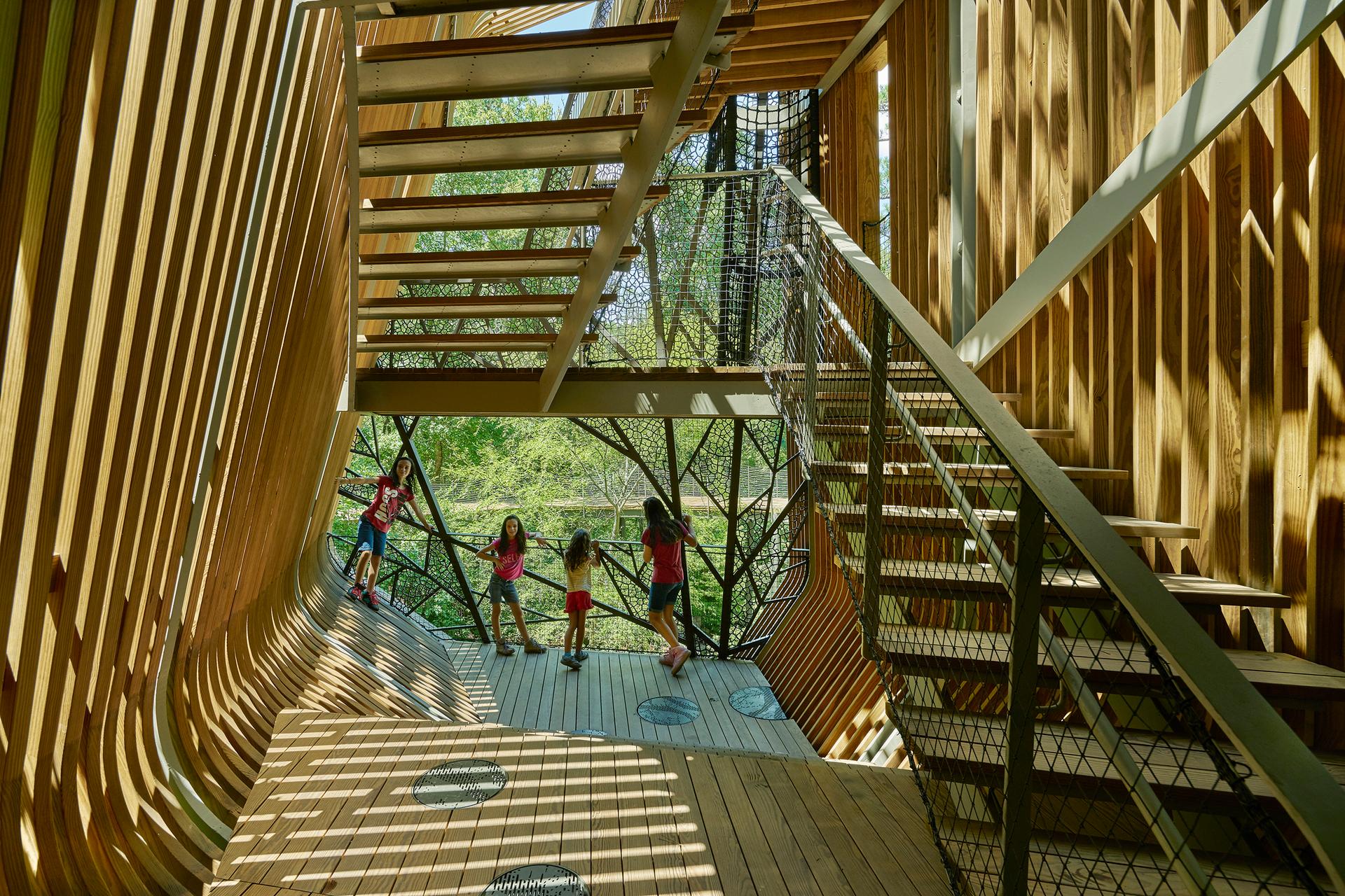 The Bob + Sunny Evans Tree House at Garvan Woodland Gardens - image 13