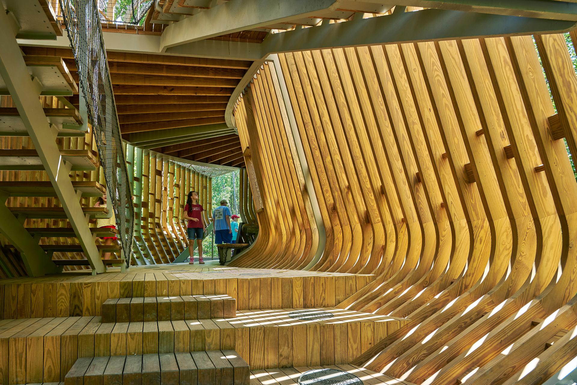 The Bob + Sunny Evans Tree House at Garvan Woodland Gardens - image 14