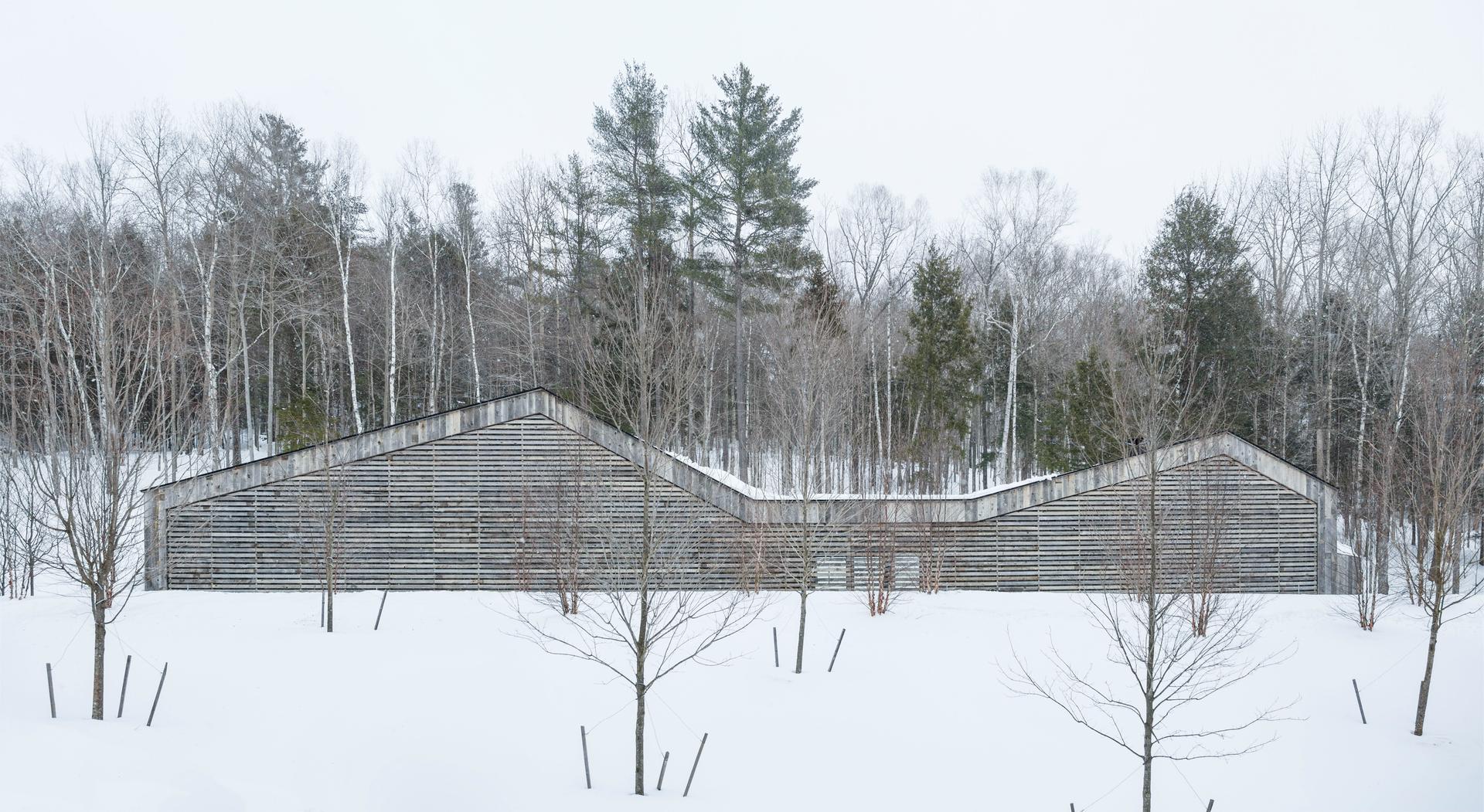 Woodshed - image 3