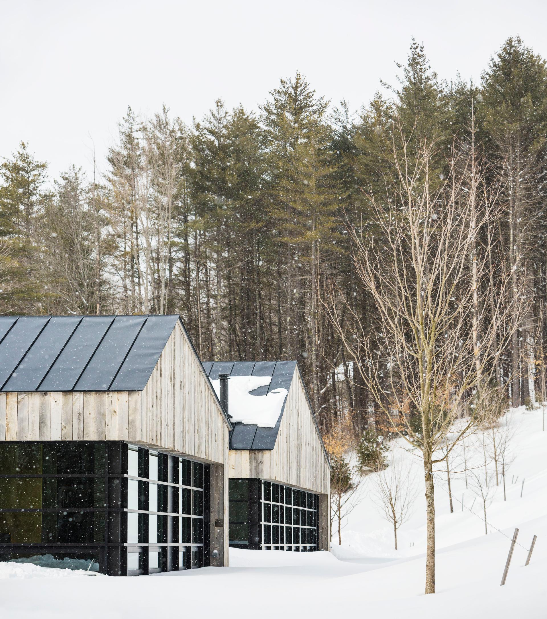 Woodshed - image 6