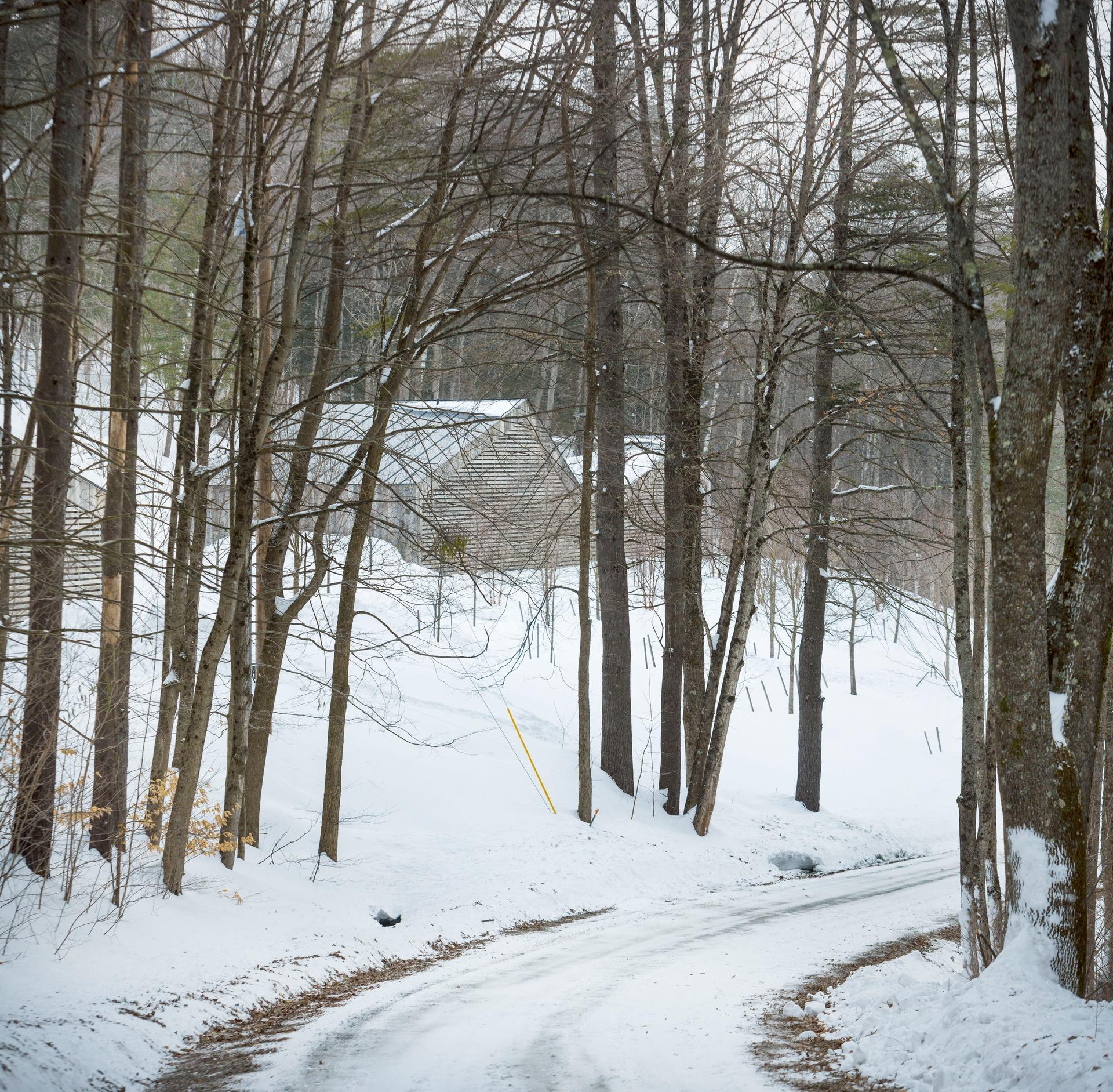 Woodshed - image 8