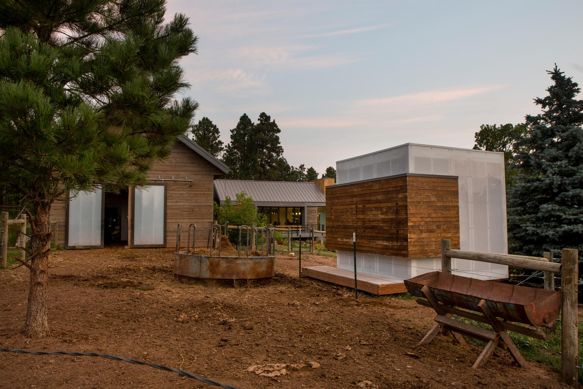Black Hills Homestead - image 4