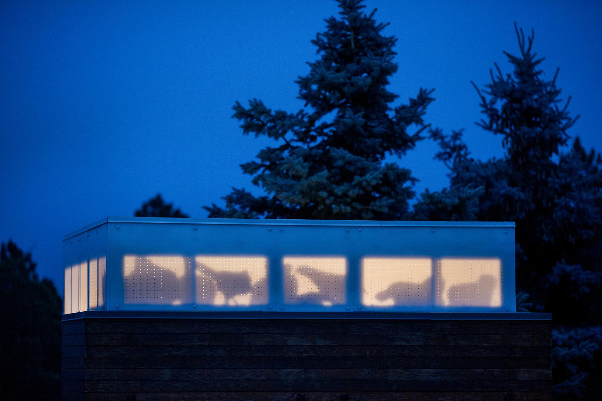 Black Hills Homestead - image 7
