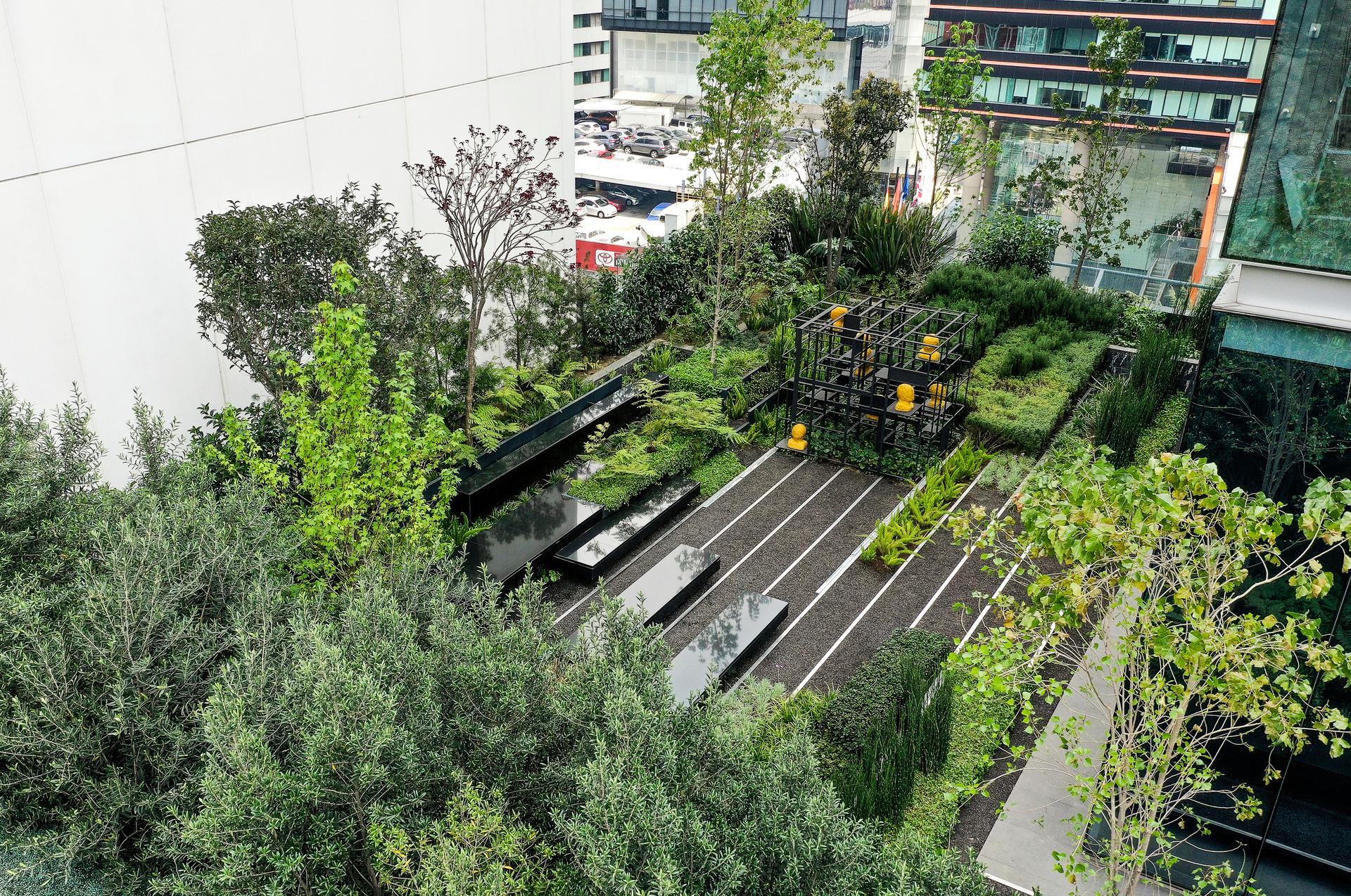 roof garden for a sculpture in Santa Fe, México City