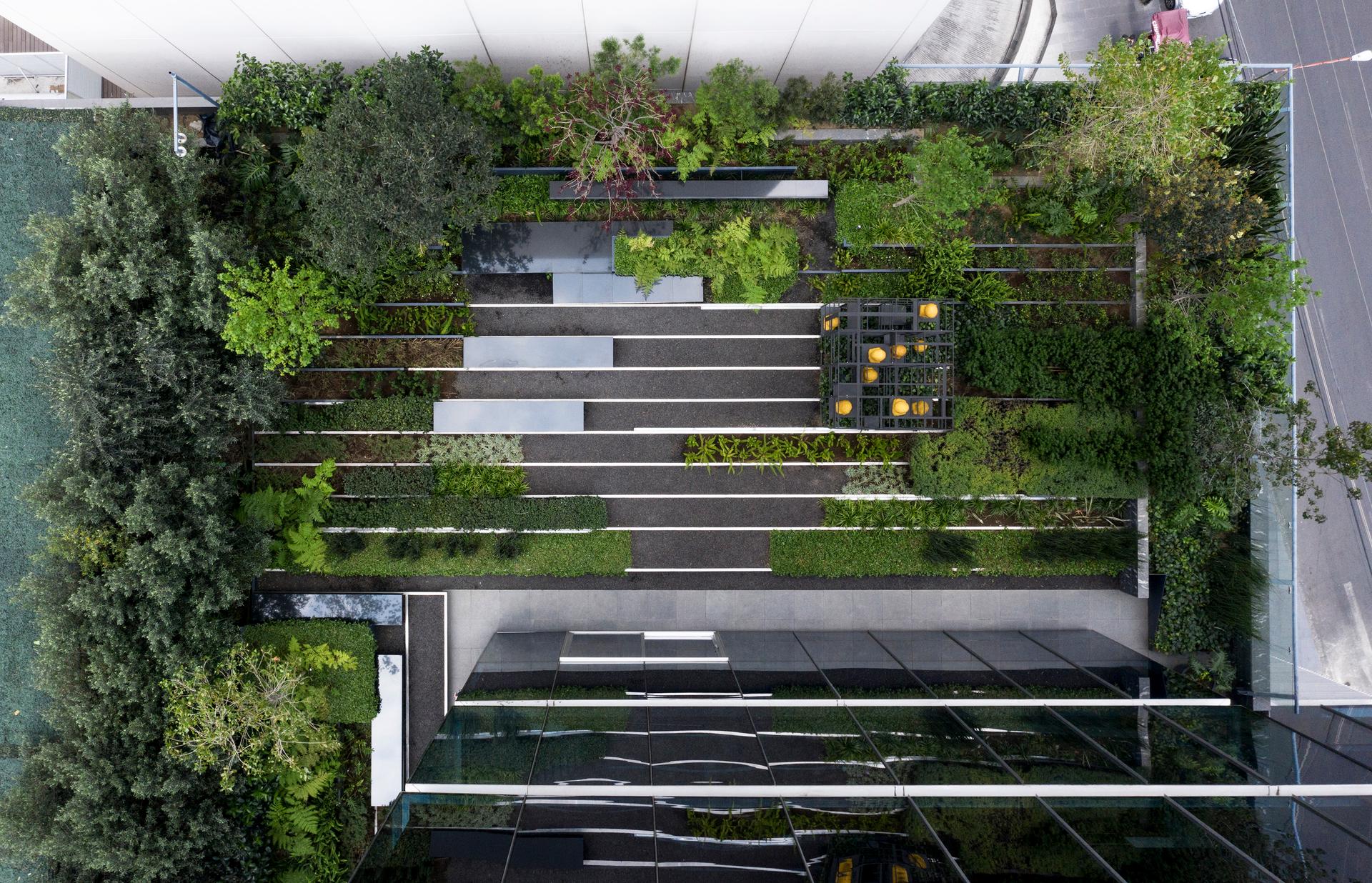 roof garden for a sculpture in Santa Fe, México City - image 3