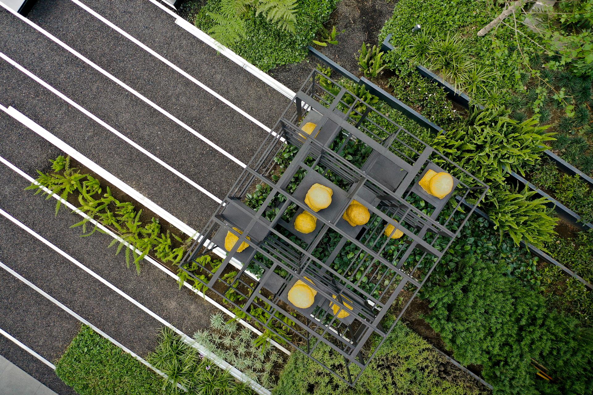 roof garden for a sculpture in Santa Fe, México City - image 4