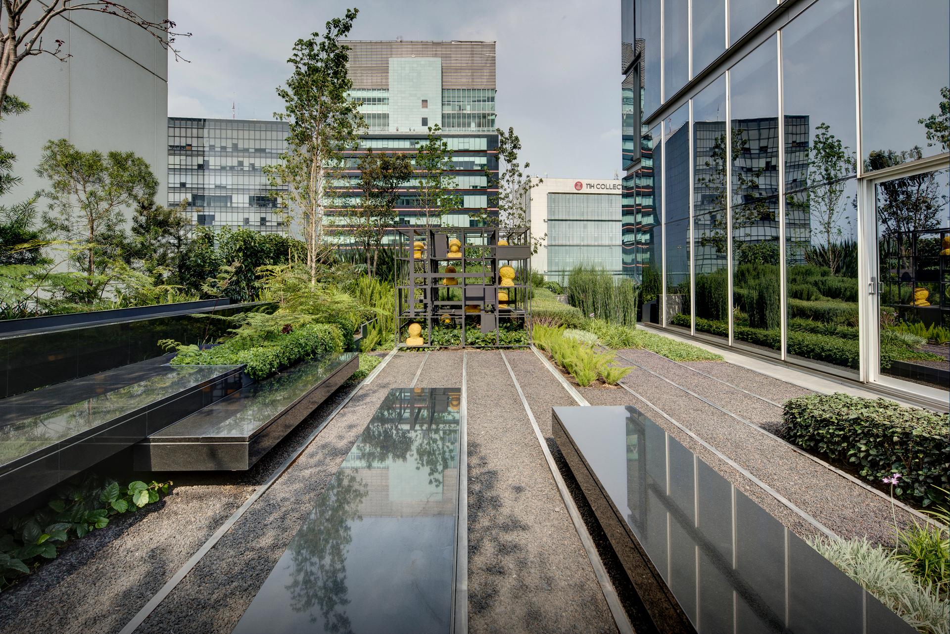 roof garden for a sculpture in Santa Fe, México City - image 6