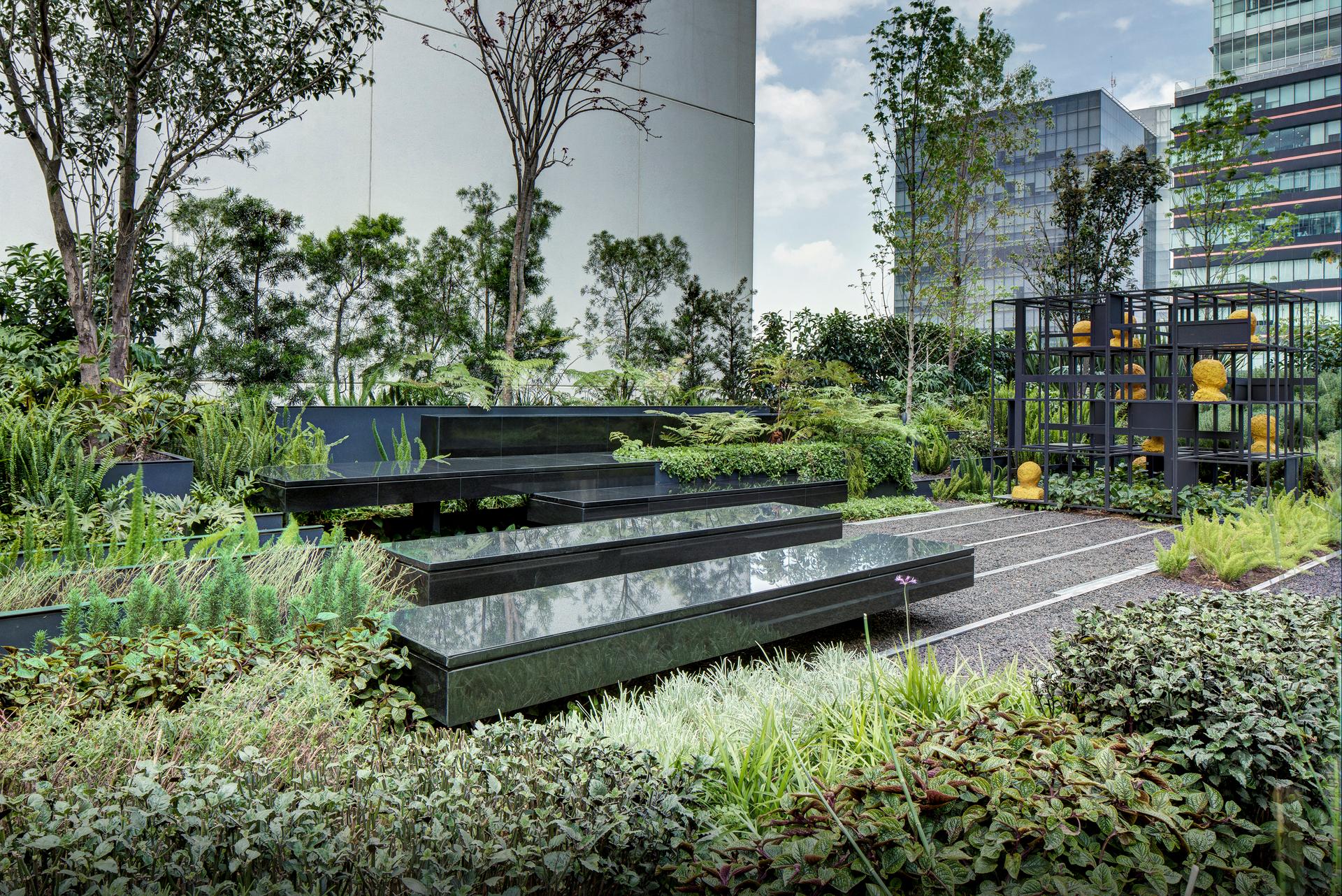 roof garden for a sculpture in Santa Fe, México City - image 7