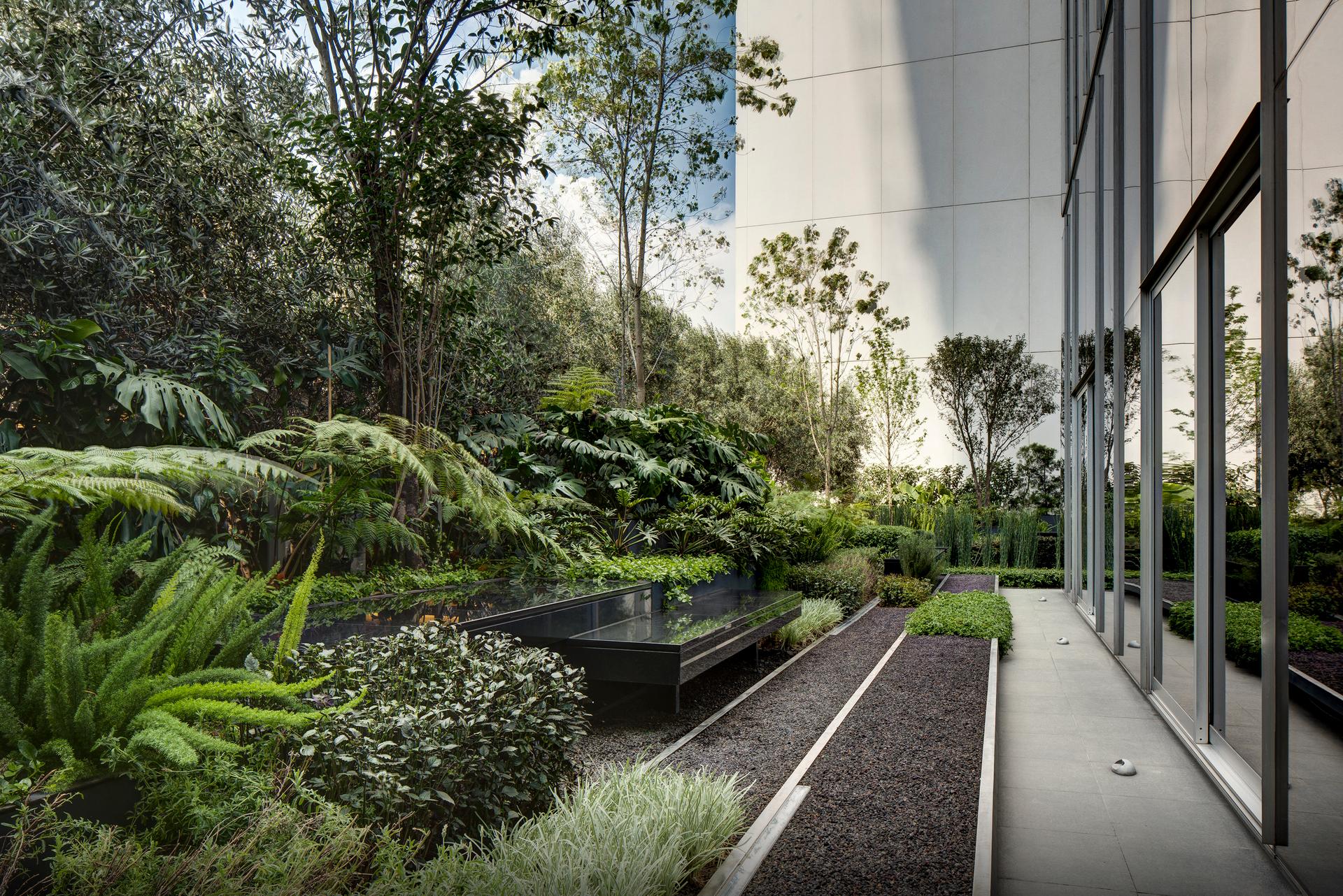 roof garden for a sculpture in Santa Fe, México City - image 9