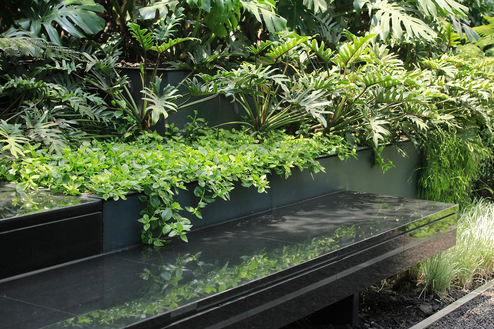 roof garden for a sculpture in Santa Fe, México City - image 11