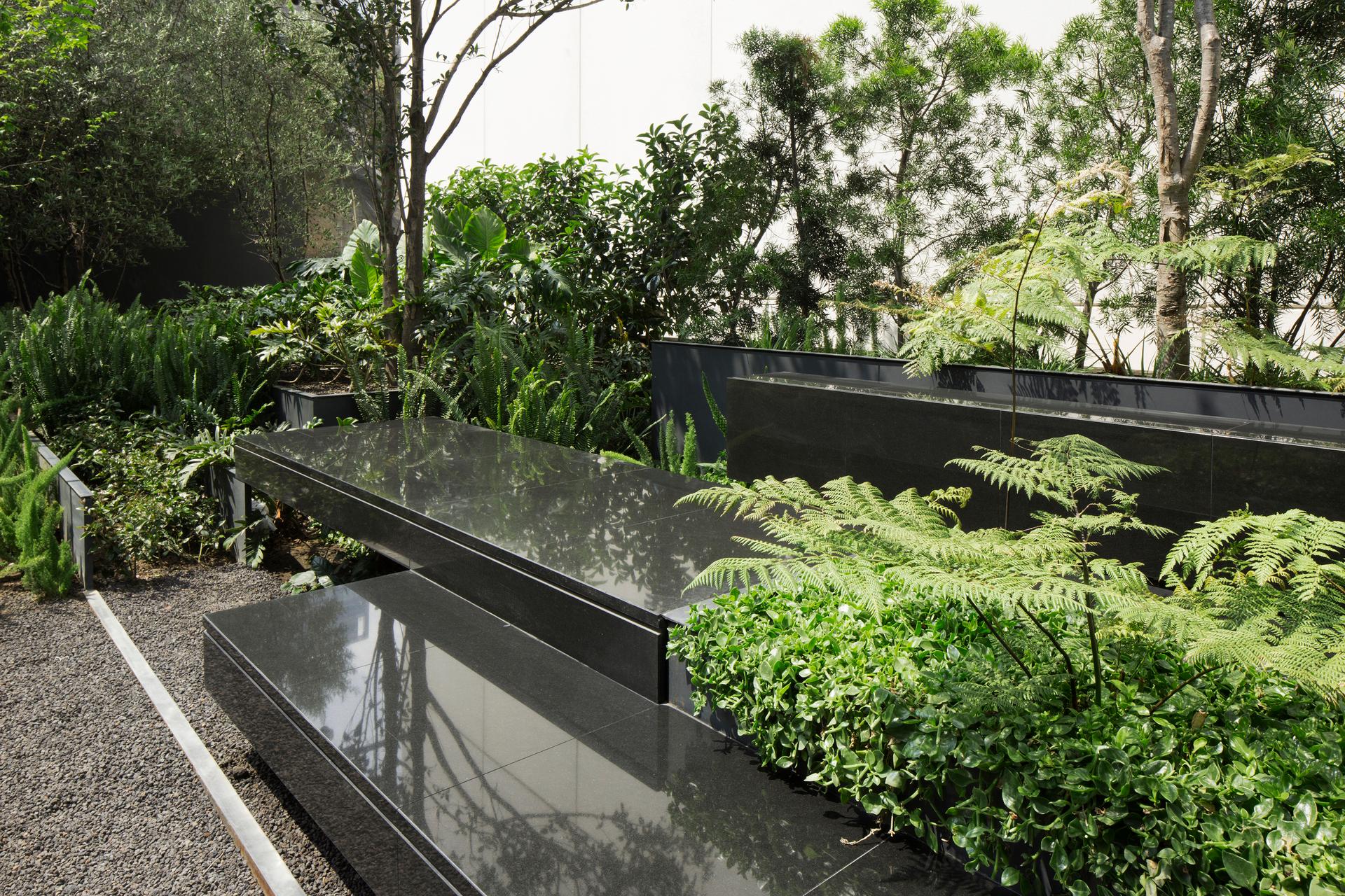 roof garden for a sculpture in Santa Fe, México City - image 12