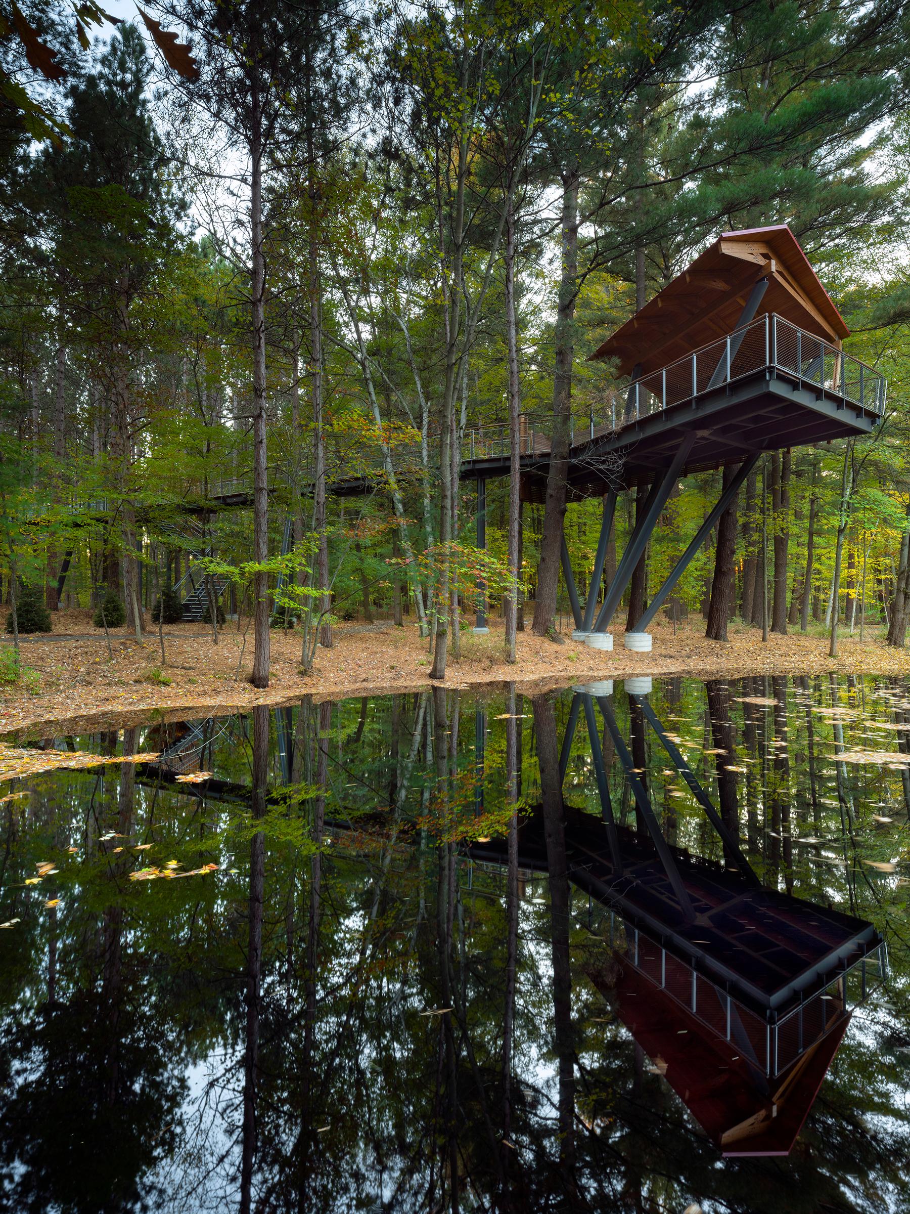 Whiting Forest of Dow Gardens - image 4