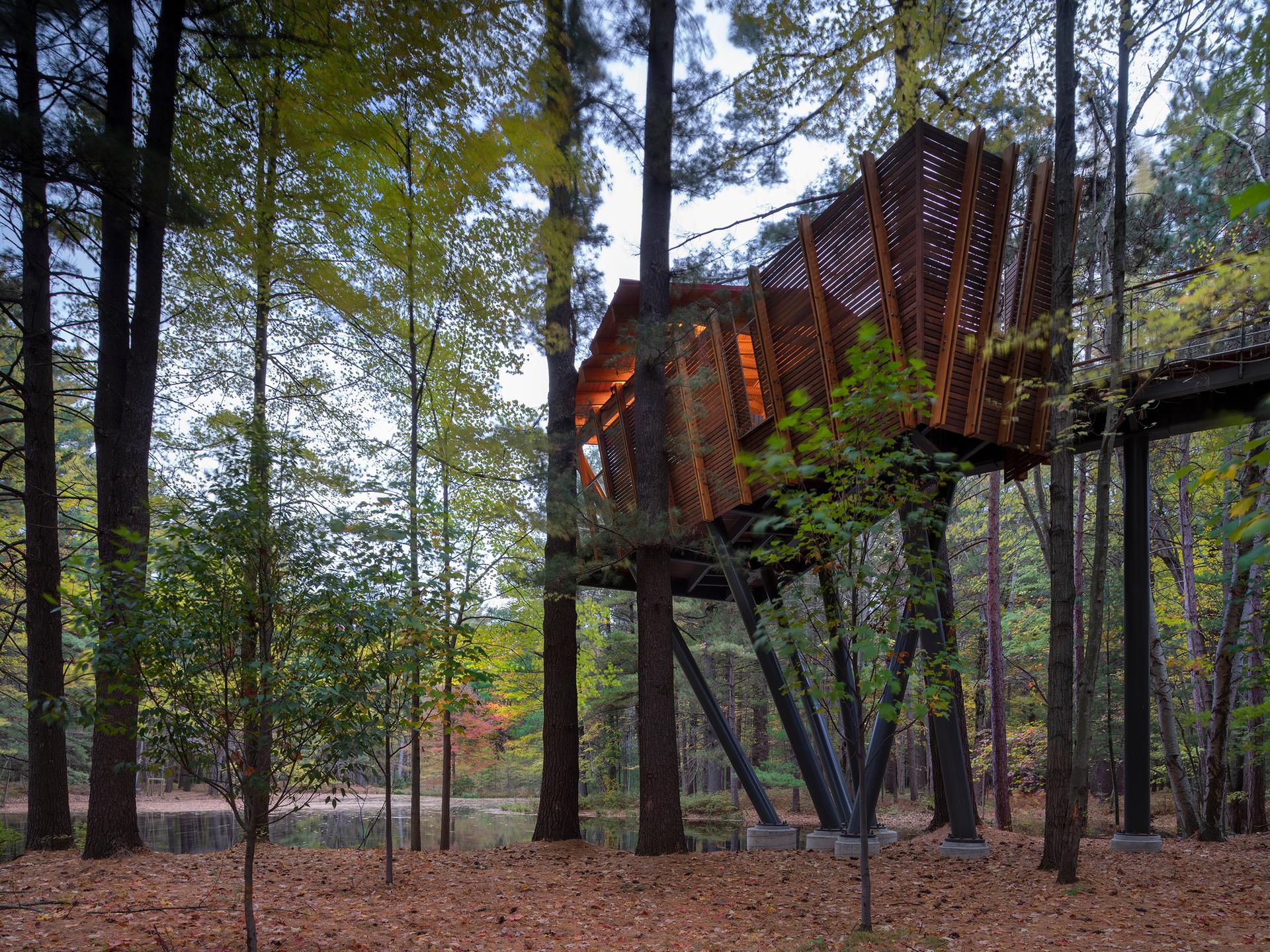 Whiting Forest of Dow Gardens - image 5