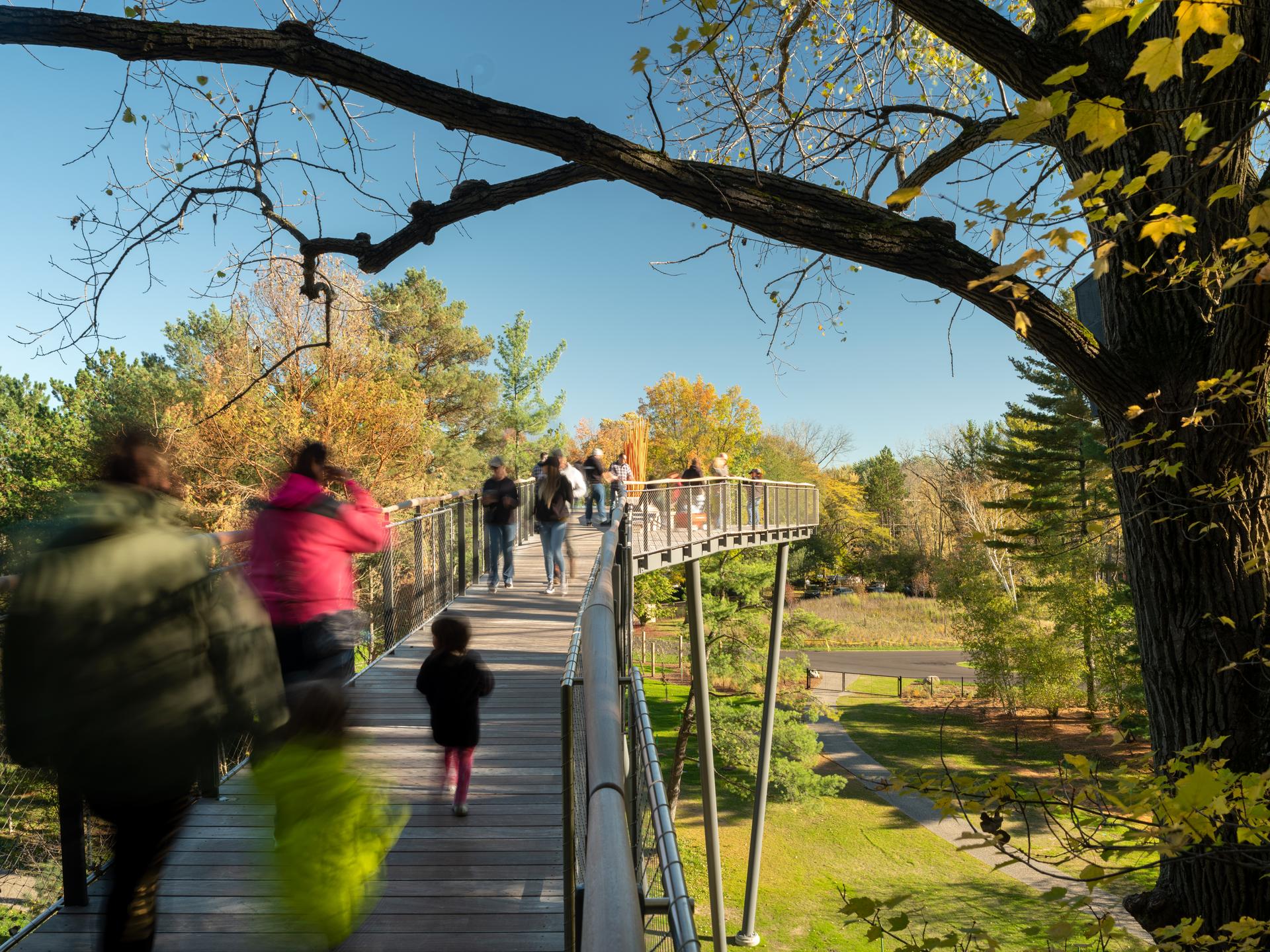 Whiting Forest of Dow Gardens - image 7