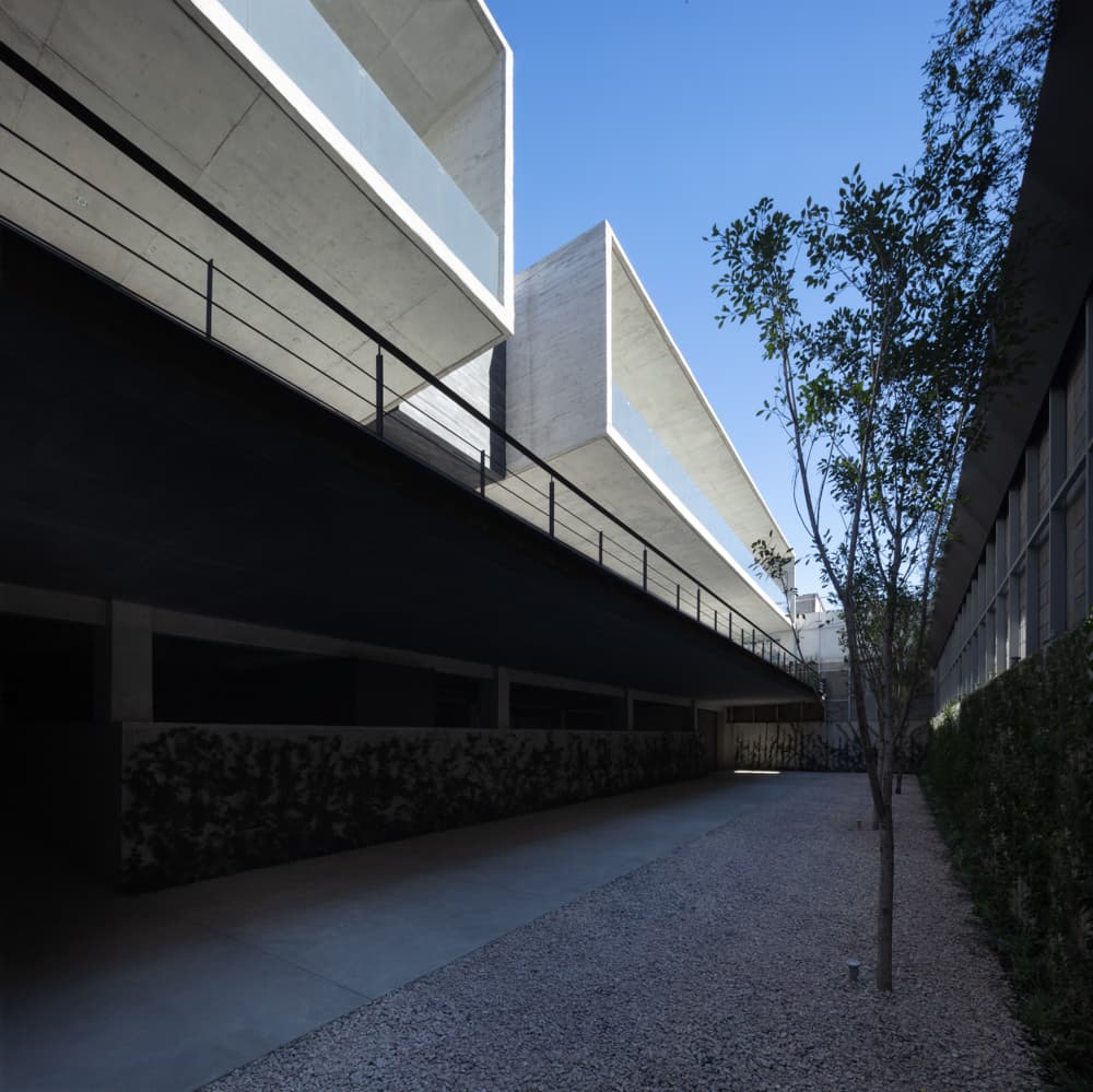 Jinetes - image 6