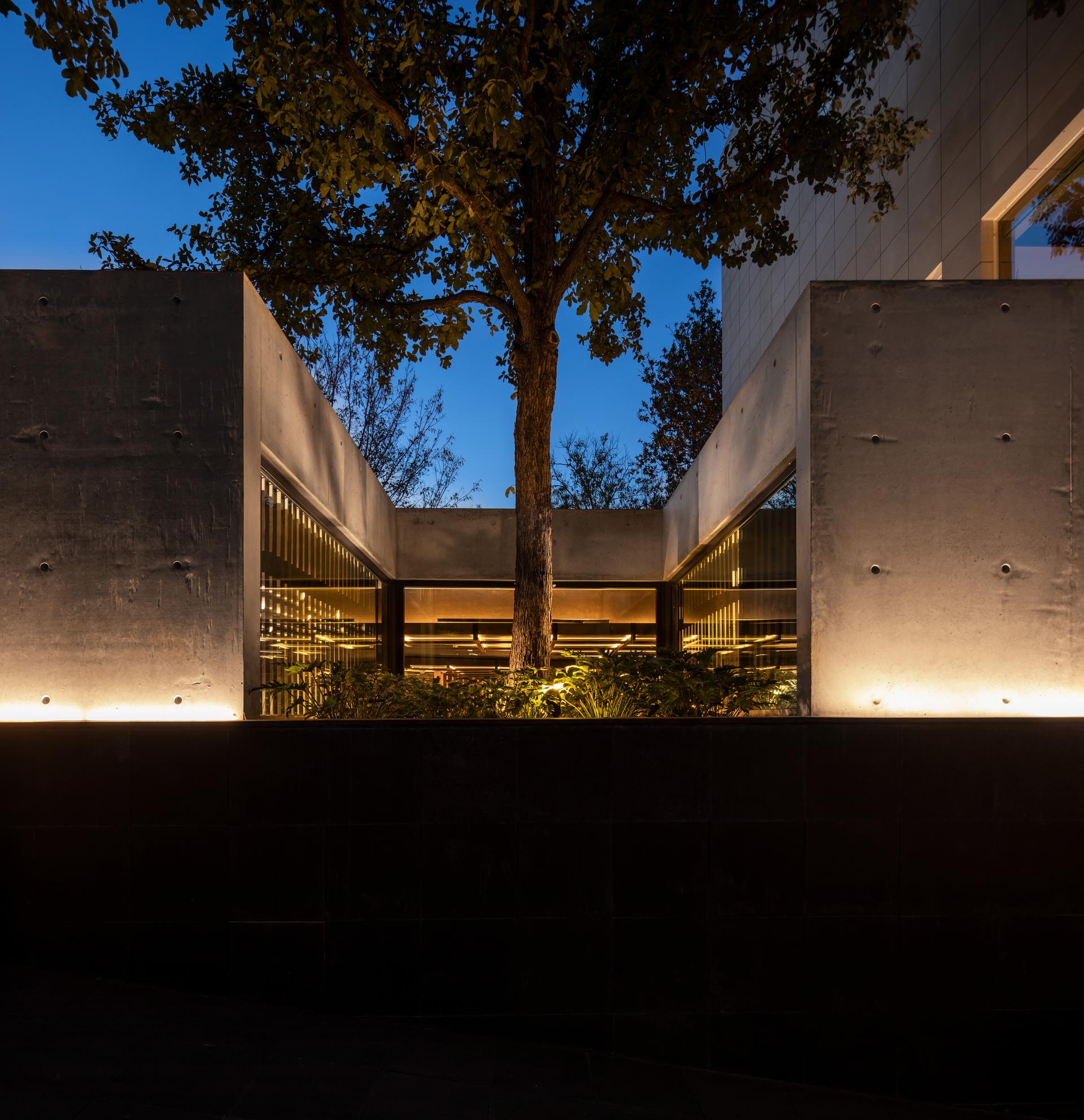 MF Pavilion - image 4