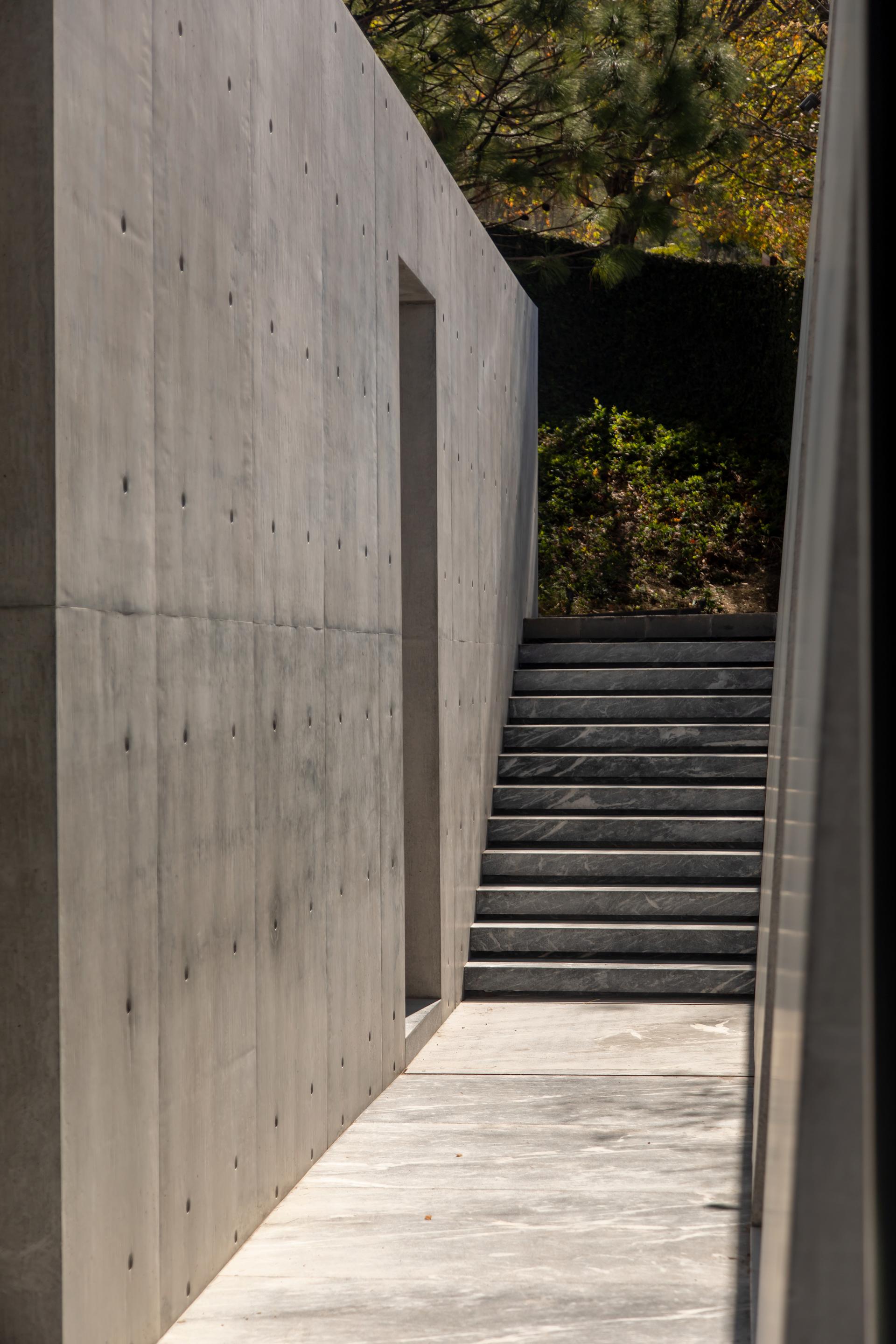 MF Pavilion - image 7