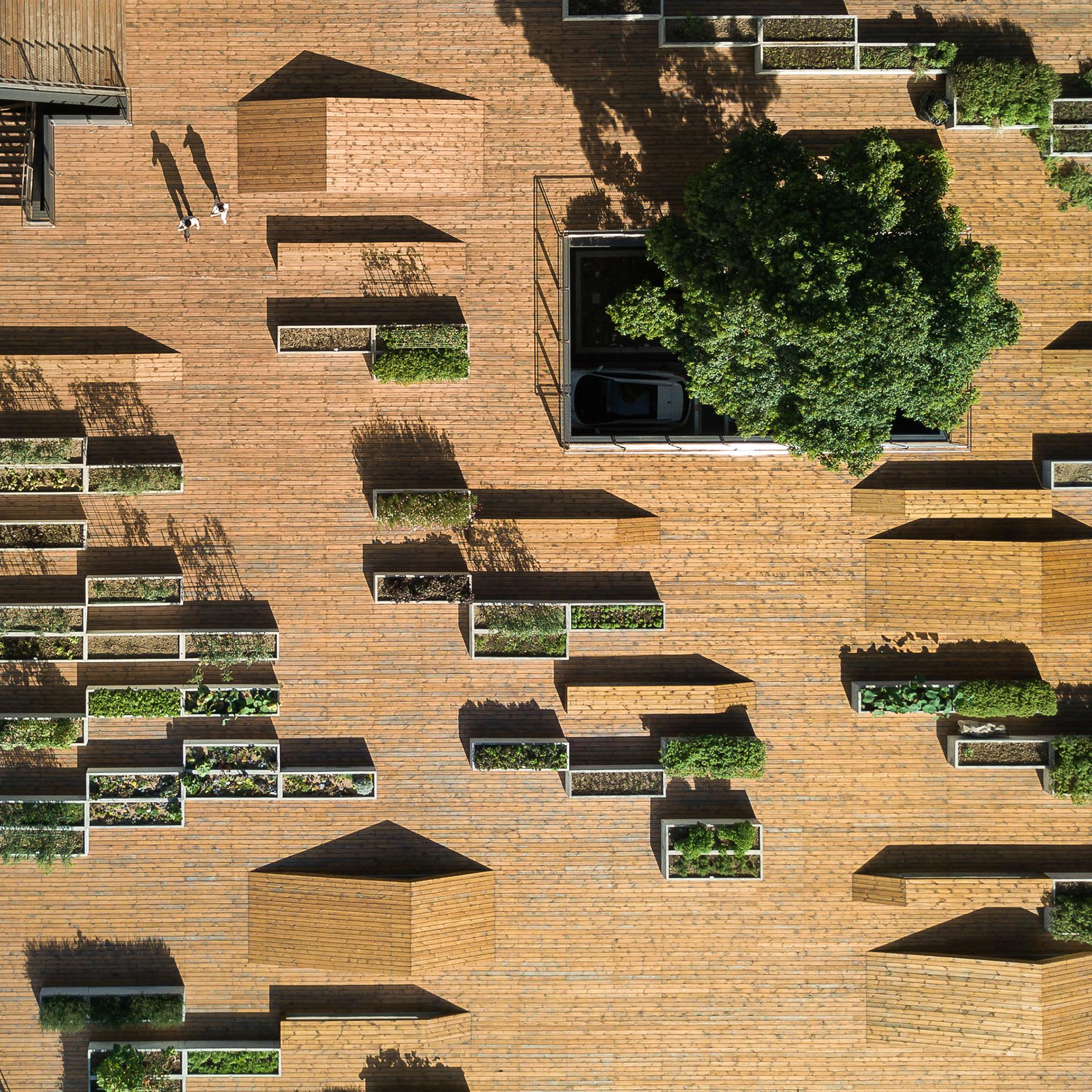 The planting terrace and the experience pavilion - image 5
