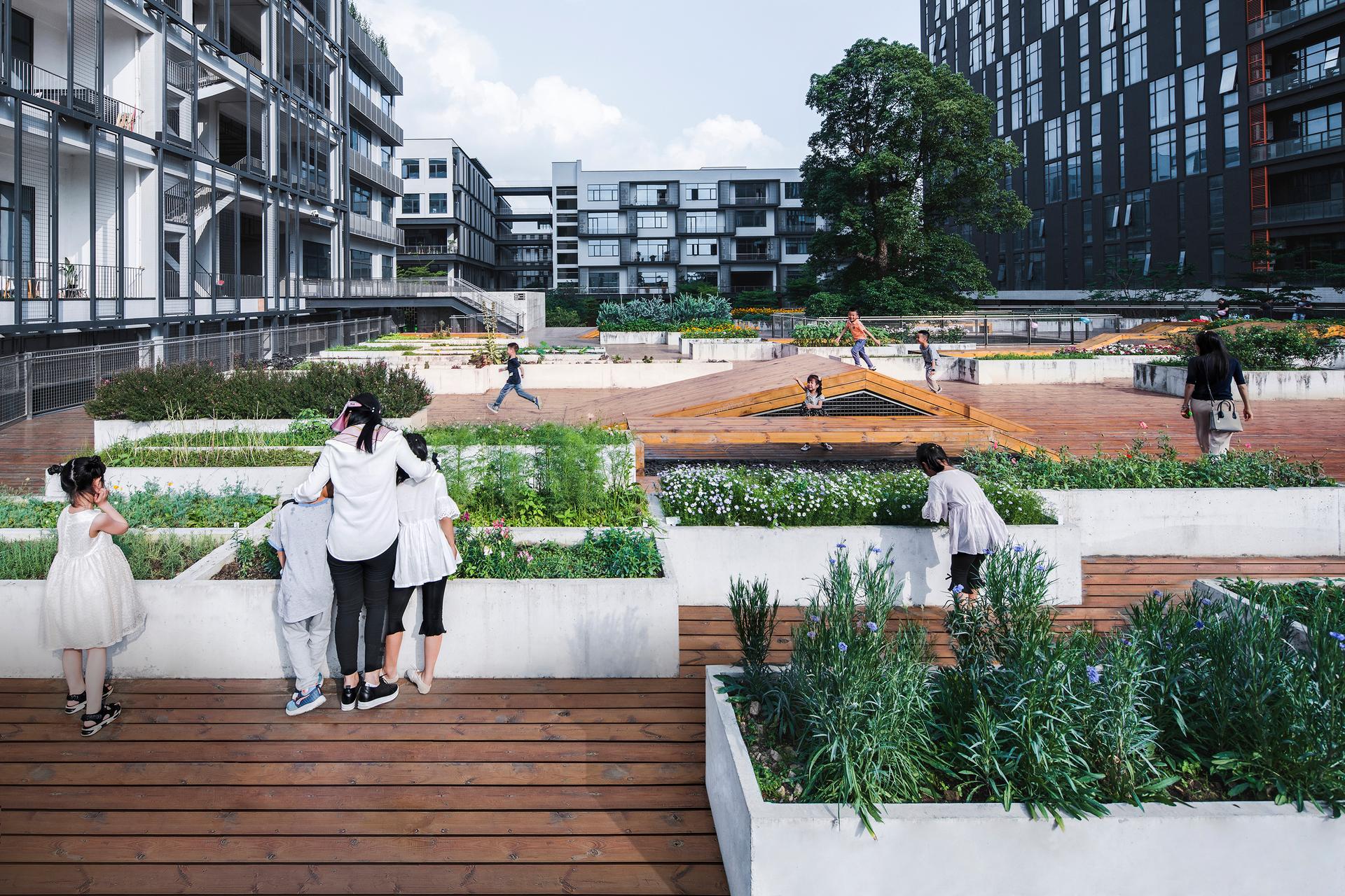 The planting terrace and the experience pavilion - image 6