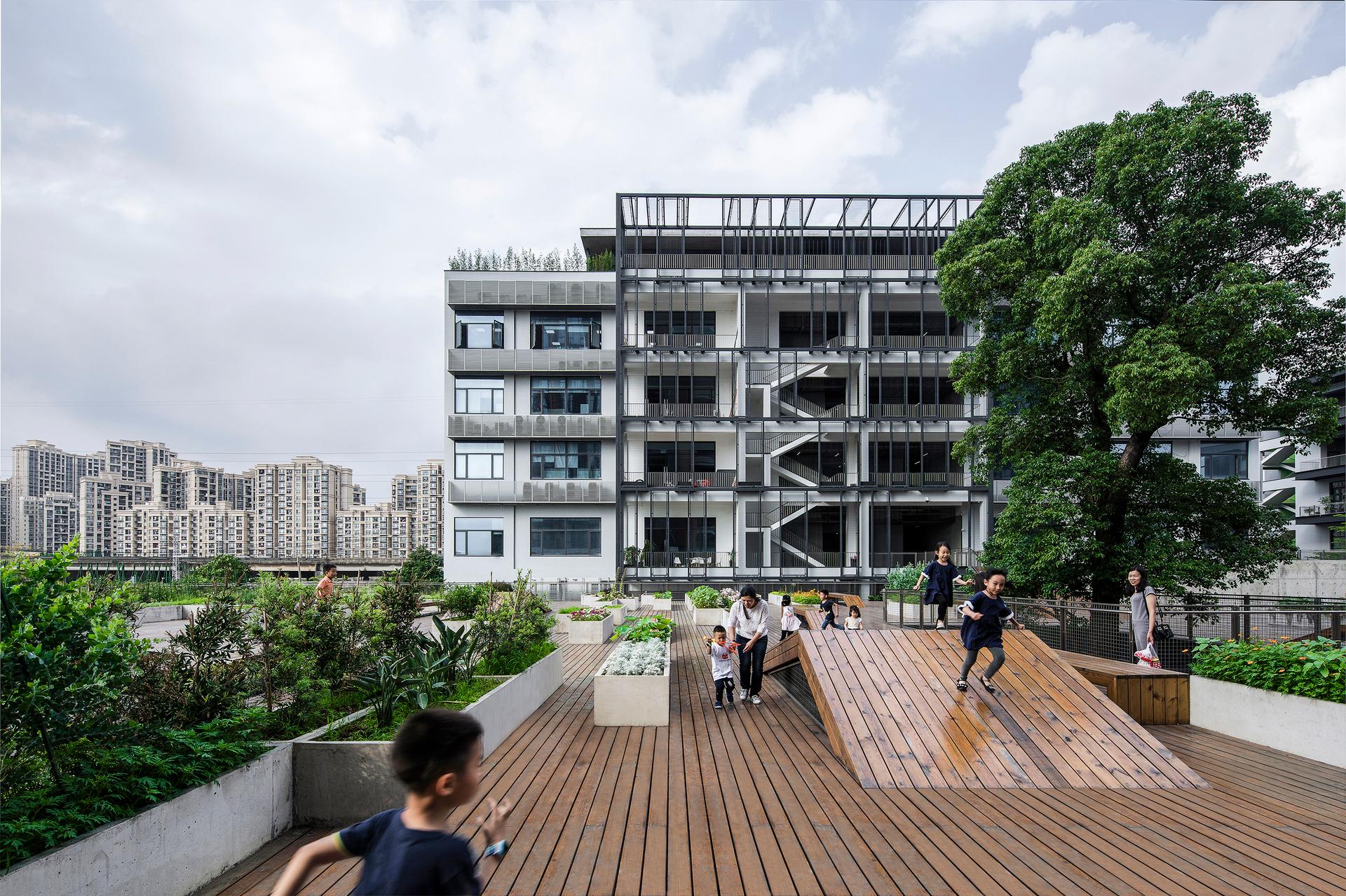 The planting terrace and the experience pavilion - image 7