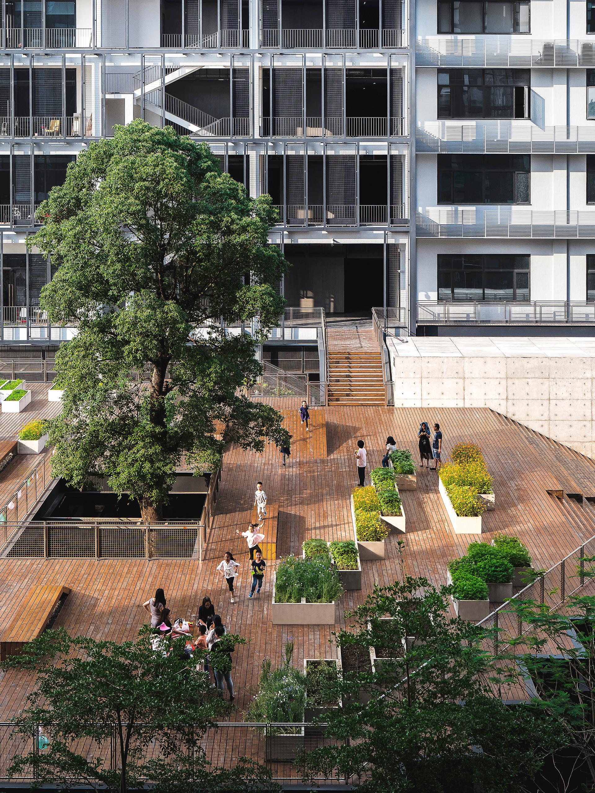 The planting terrace and the experience pavilion - image 8