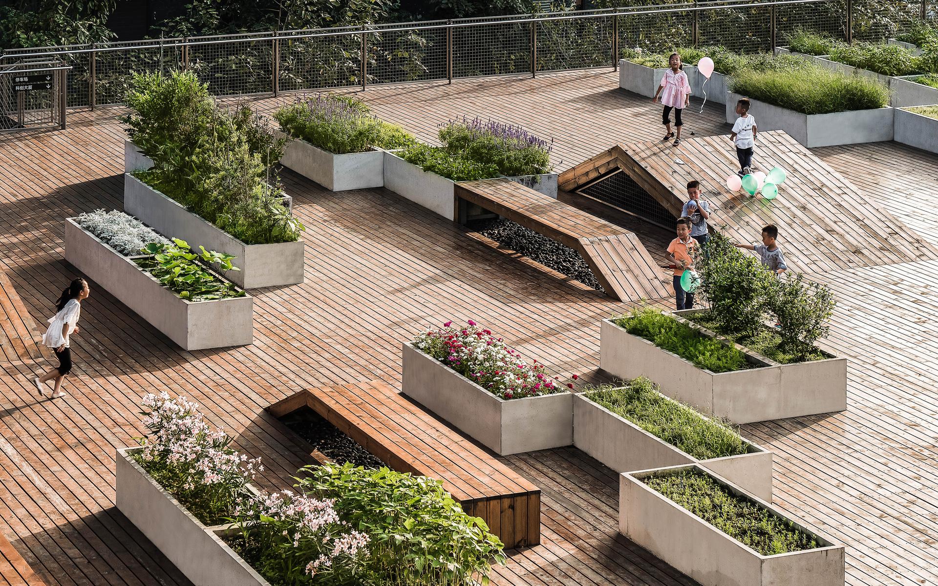 The planting terrace and the experience pavilion - image 9