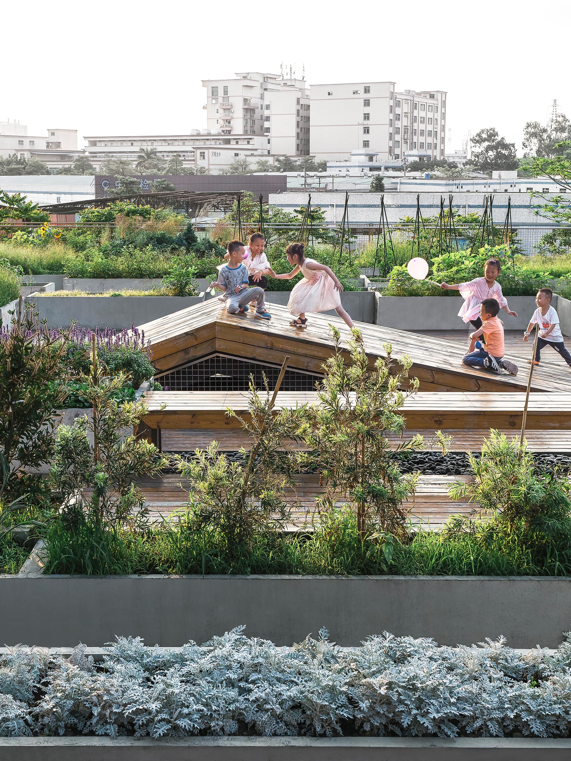 The planting terrace and the experience pavilion - image 10