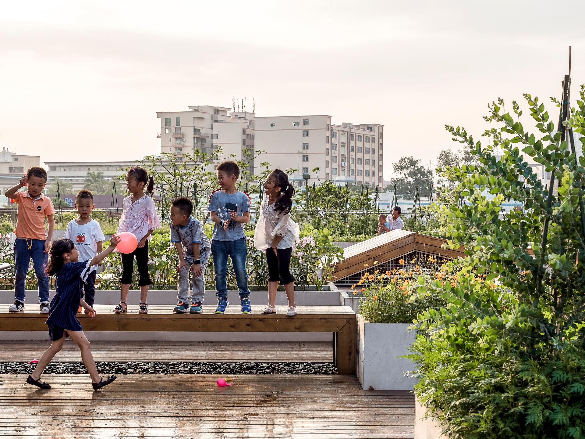 The planting terrace and the experience pavilion - image 11
