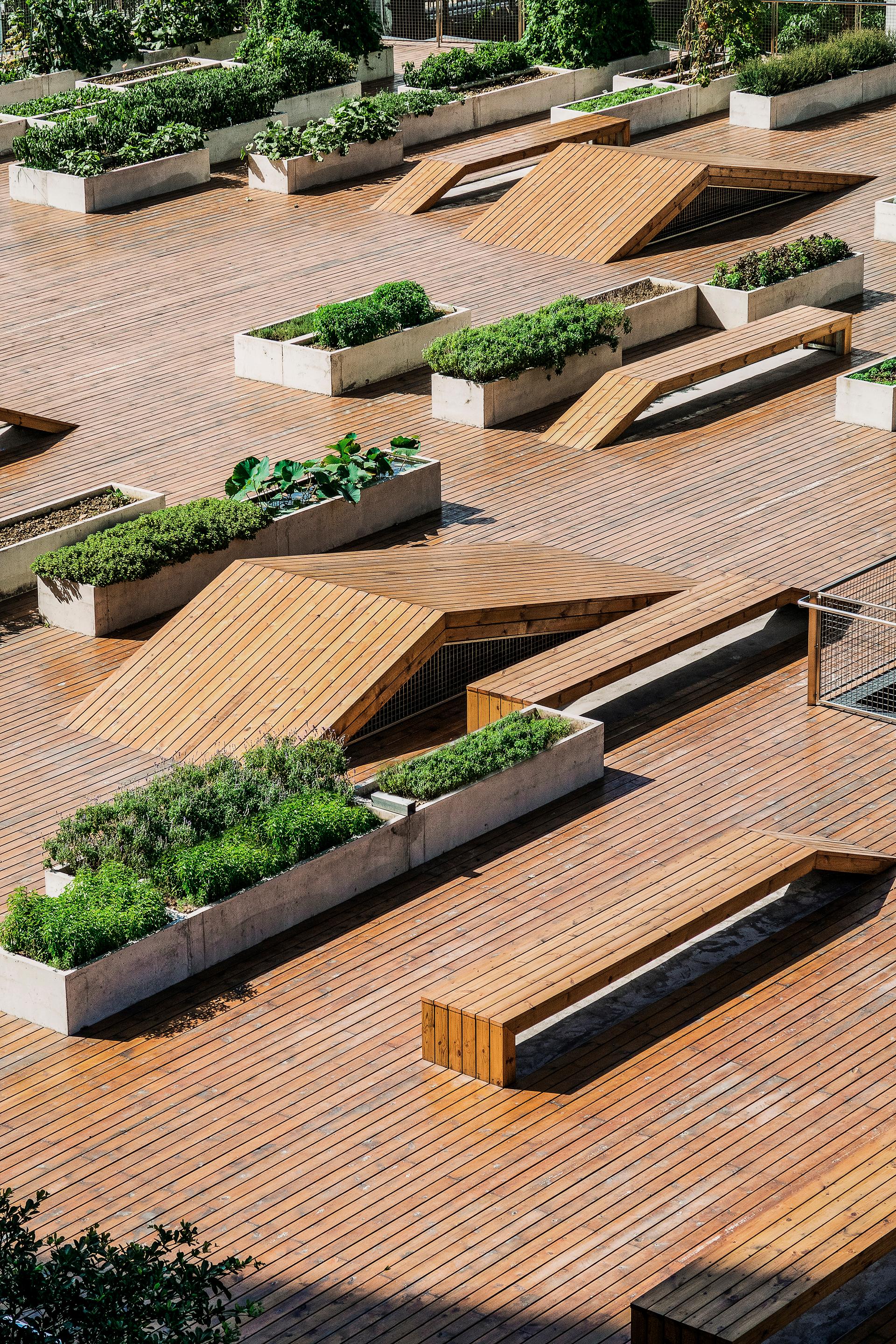 The planting terrace and the experience pavilion - image 12