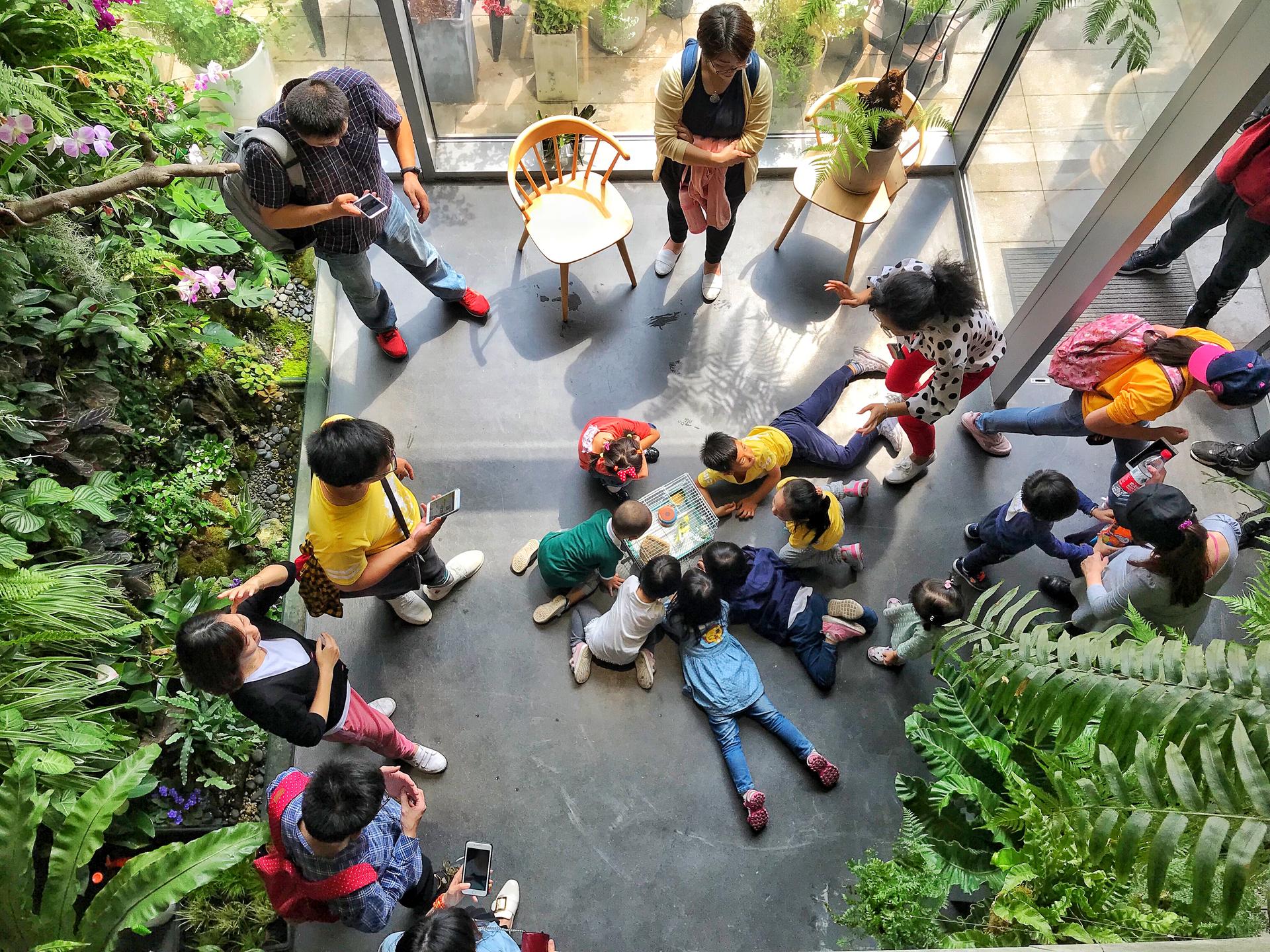 The planting terrace and the experience pavilion - image 14