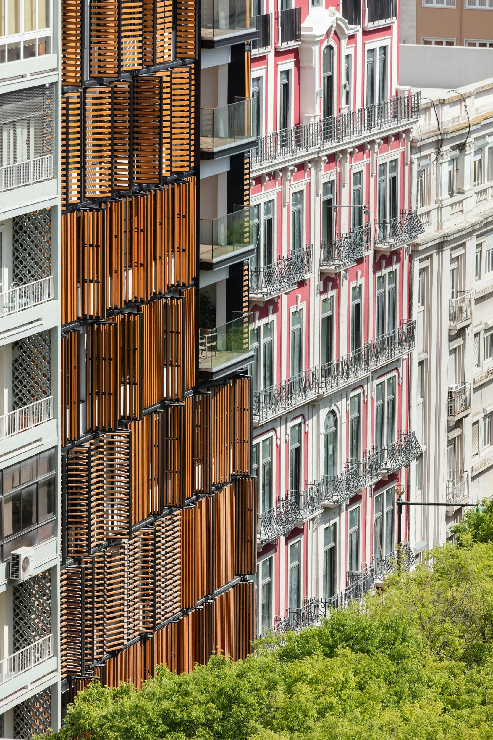 Lisbon Wood - image 3